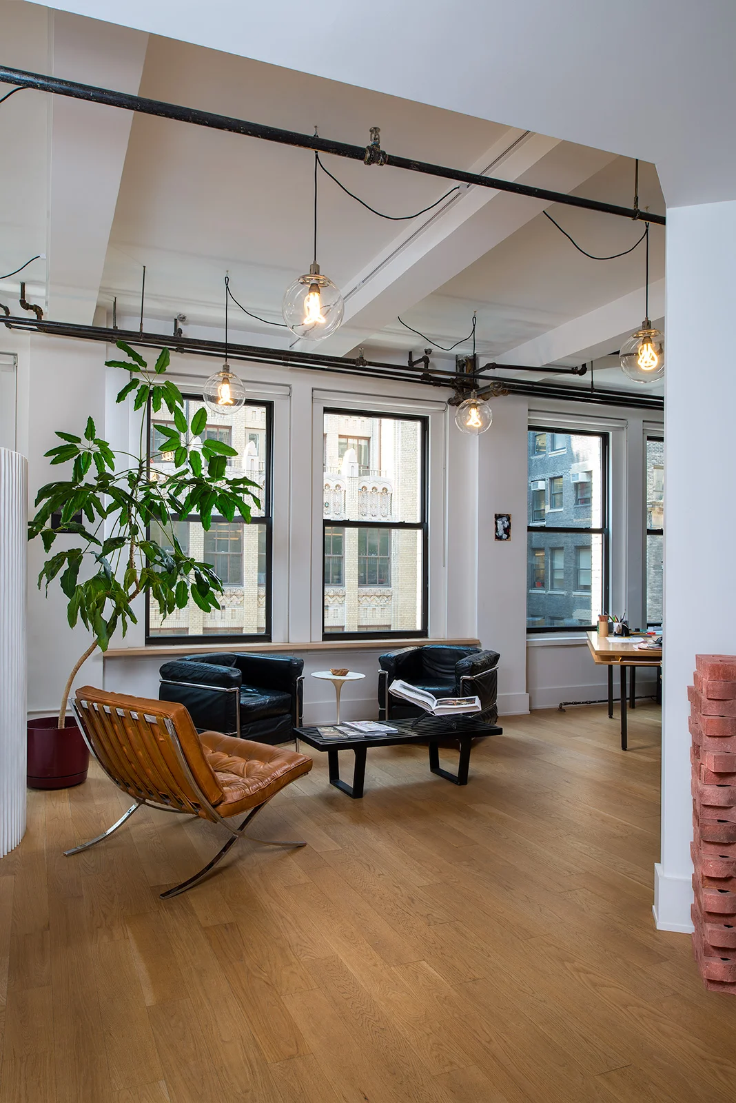 Web Optimized _DSC9147.jpg