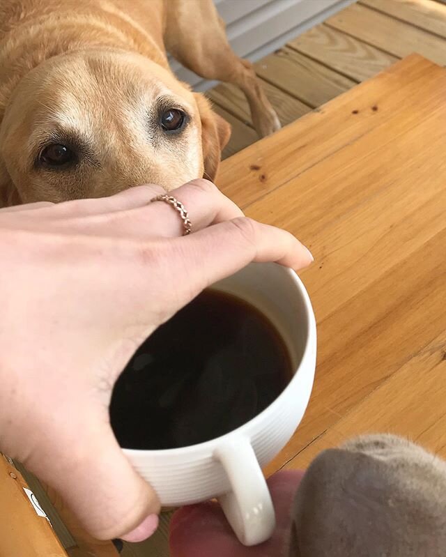 Does it get any better than coffee with doggos?? (Maybe coffee with dogs with a taller table)