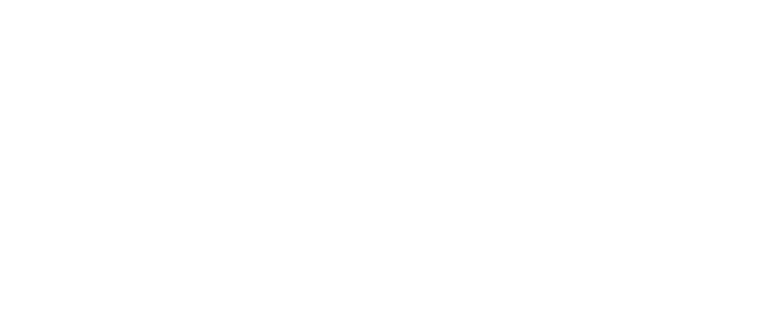 The Best Bamboo