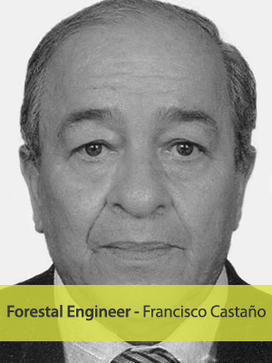 Francisco Castaño - Forestal Engineer