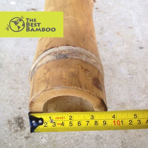 3''-4'' /8 -10 cm Guadua Bamboo Pole
