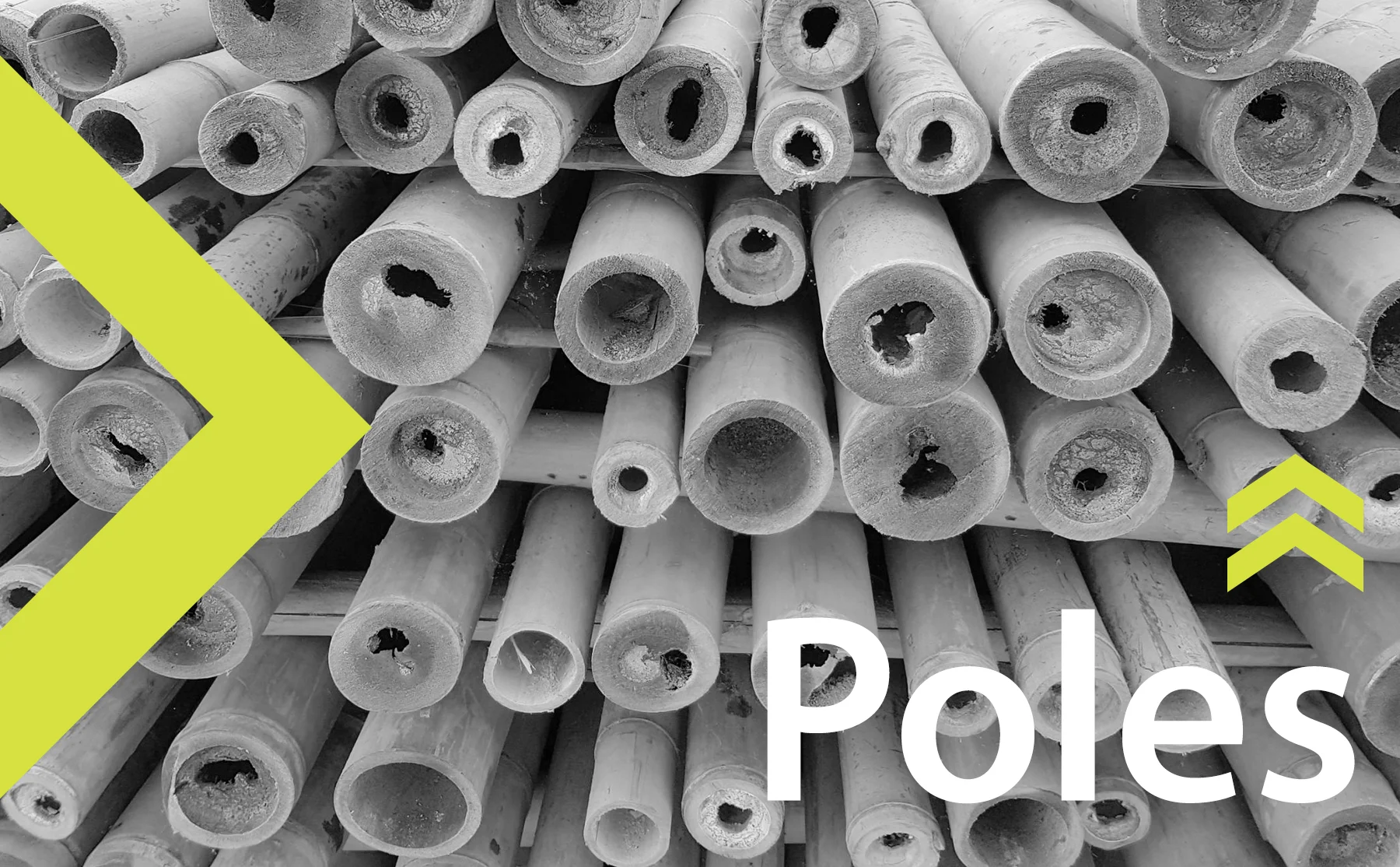 The Best Bamboo Poles for Sale - Inquiries CLICK HERE