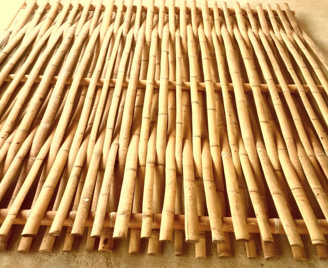 No Climb Bamboo Fence