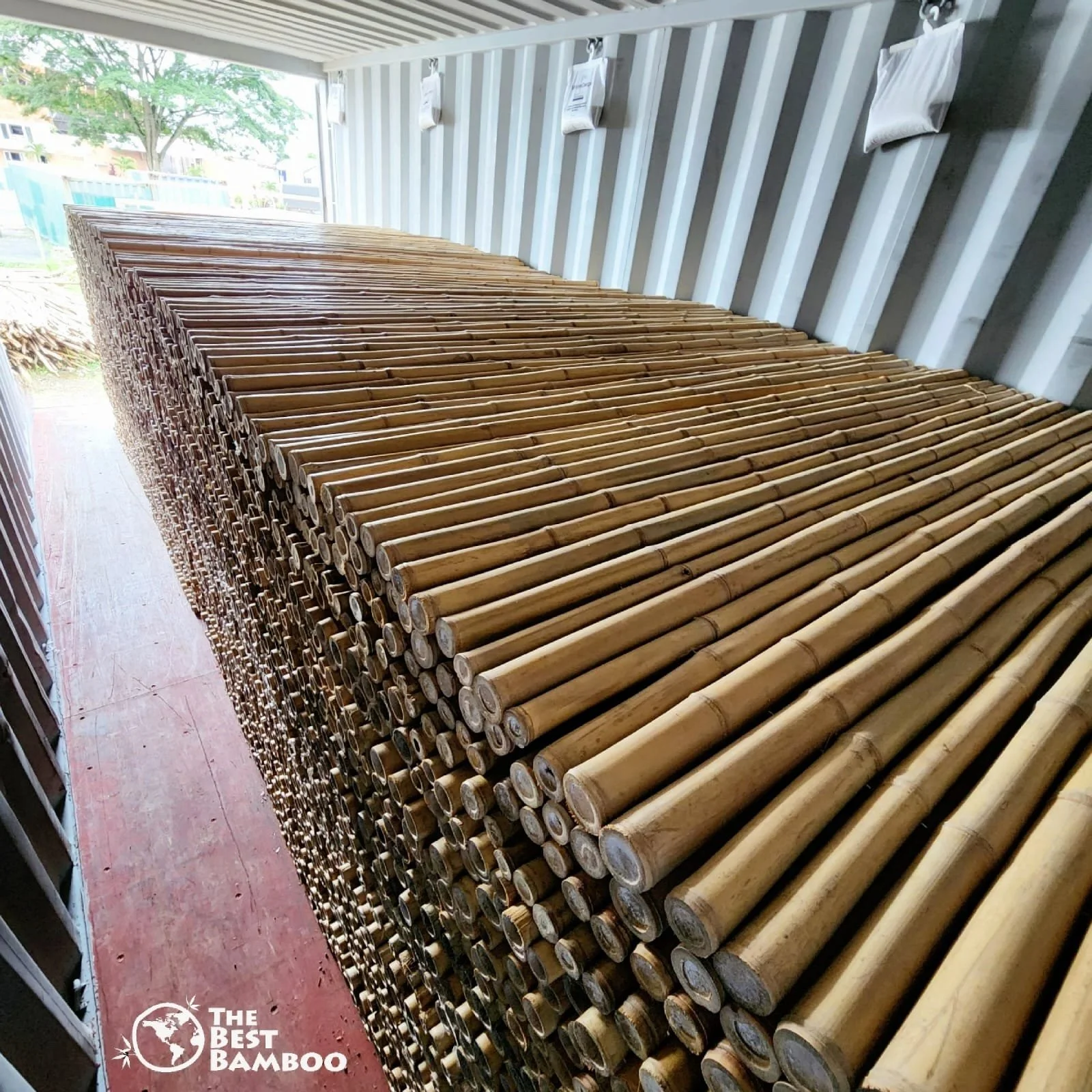 Bamboo+Fences.jpg?format=2500w