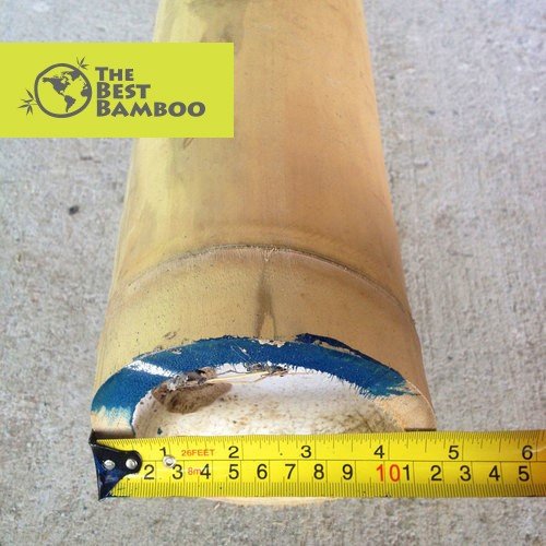 bamboo-pole-4-5.jpg