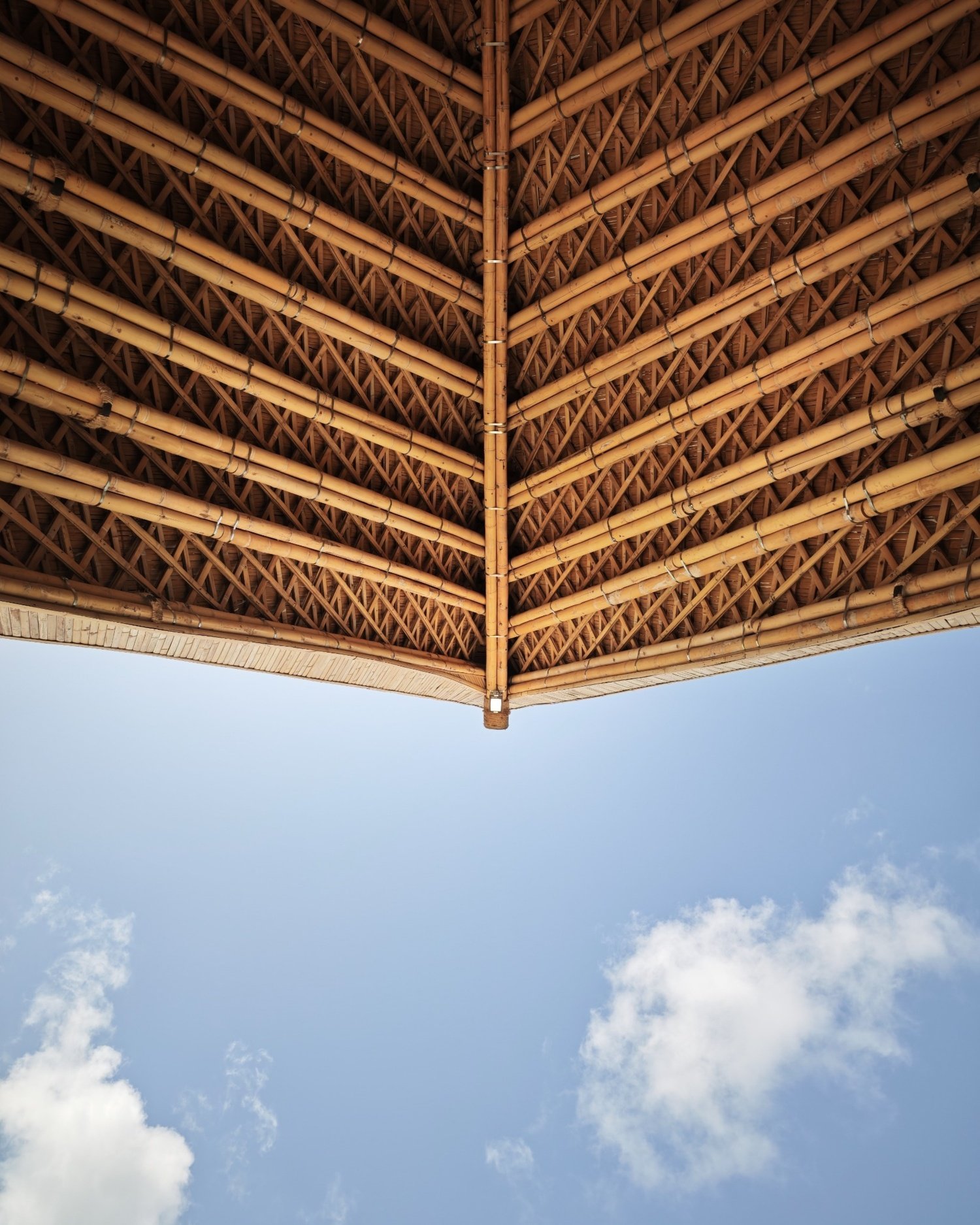 Bamboo vs. Concrete: What the Carbon Numbers Actually Say