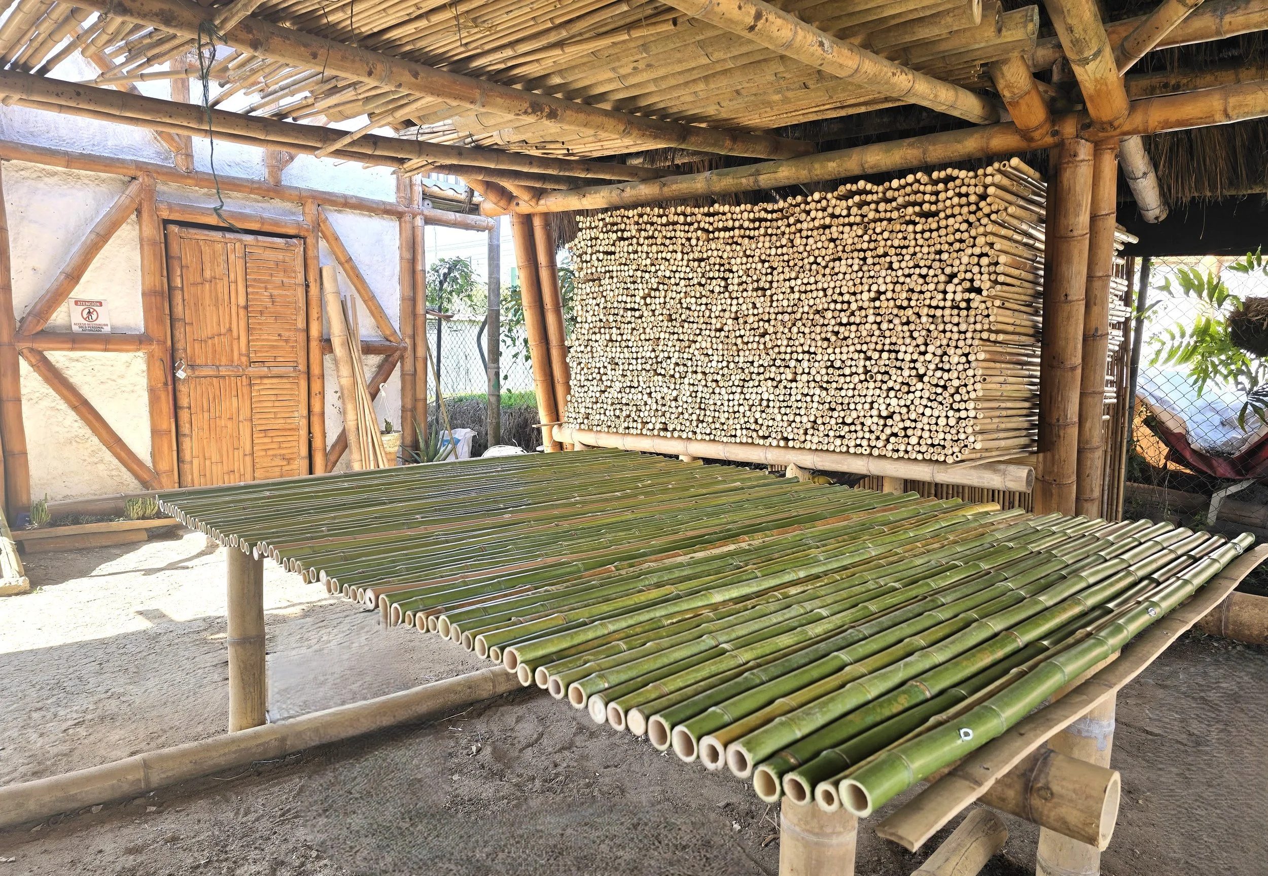 Bamboo-Privacy-Screens.jpg