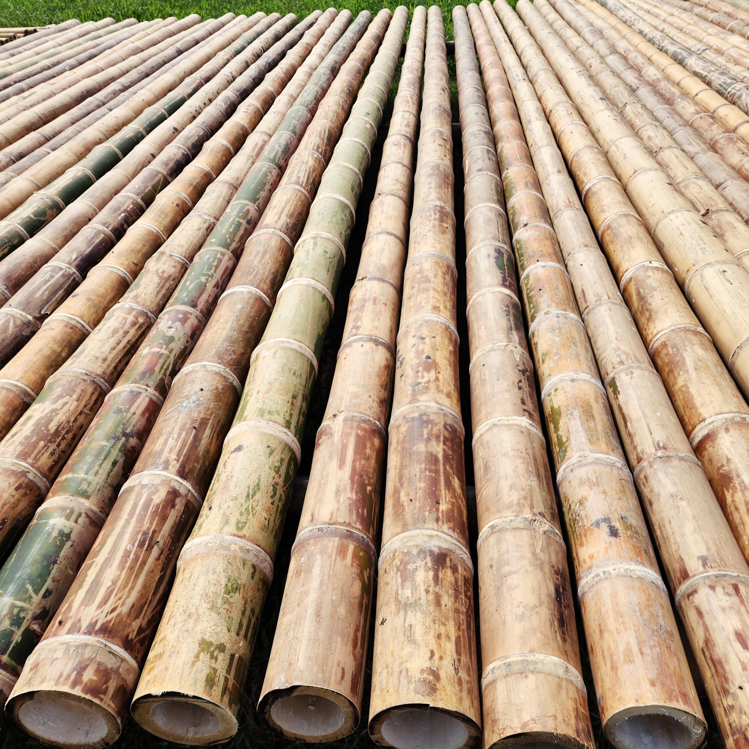 The Best Bamboo, Bamboo Poles for Sale