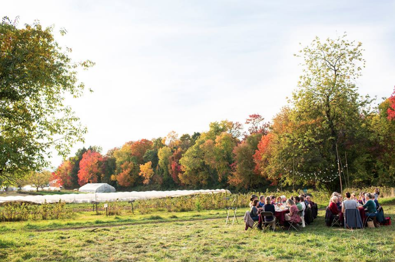 Wheelhouse FARM DINNER SERIES