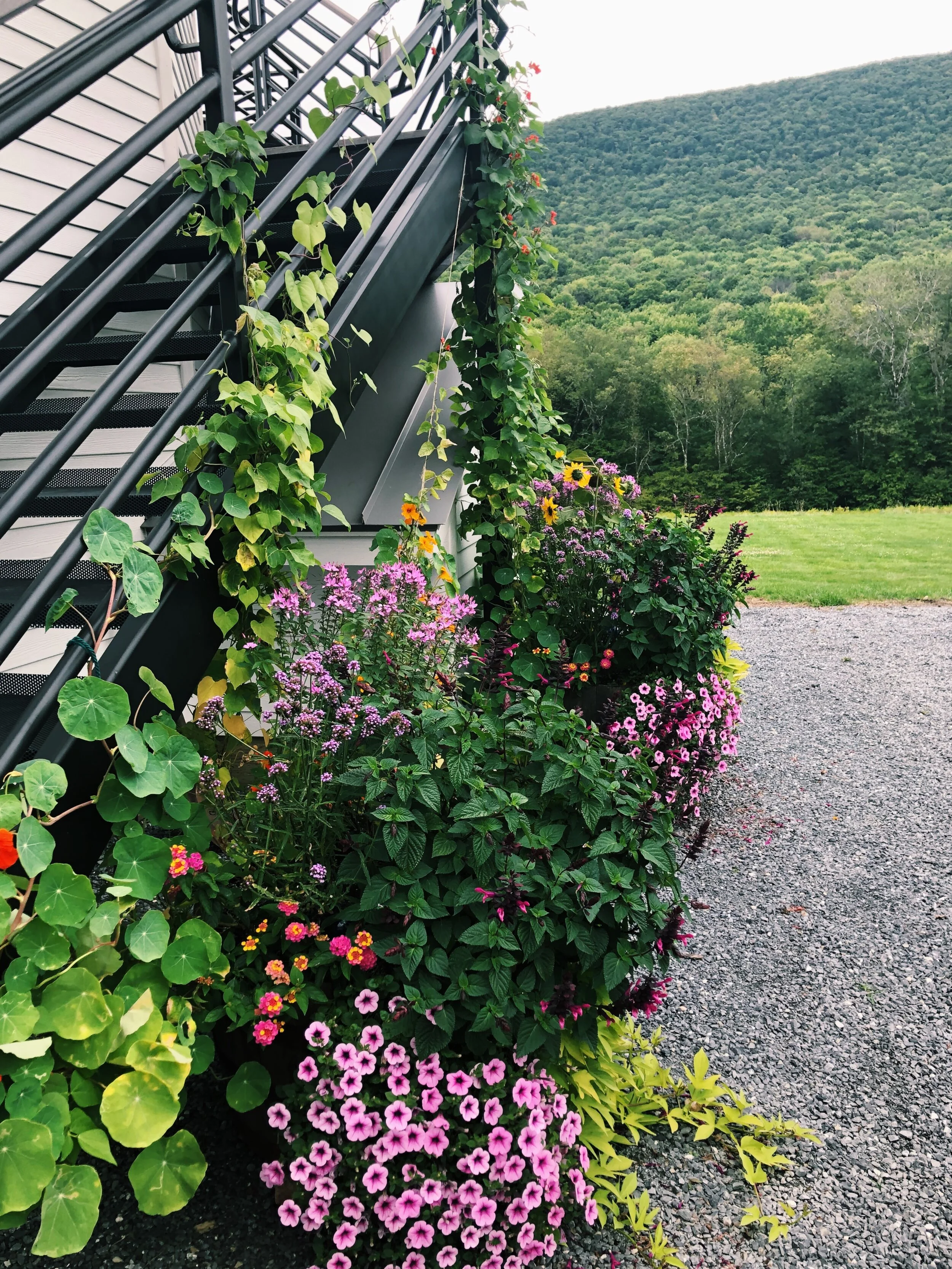 0DCE6BA0-5F1B-4D8C-A6FF-76A062B7DD2A 2.JPG