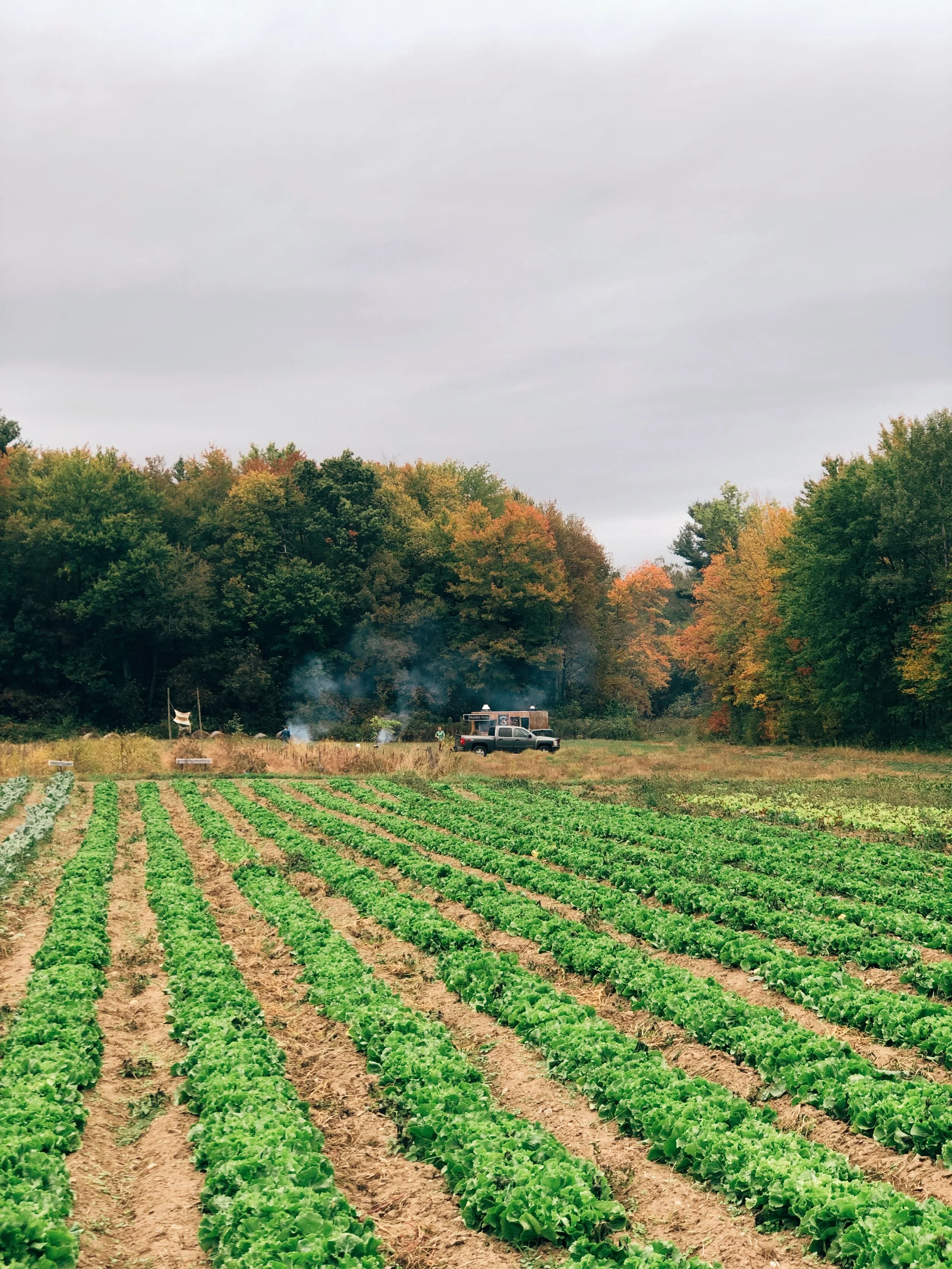 2DC9DA58-9C90-43DE-A80F-9E8CE89DD4EE 2.JPG