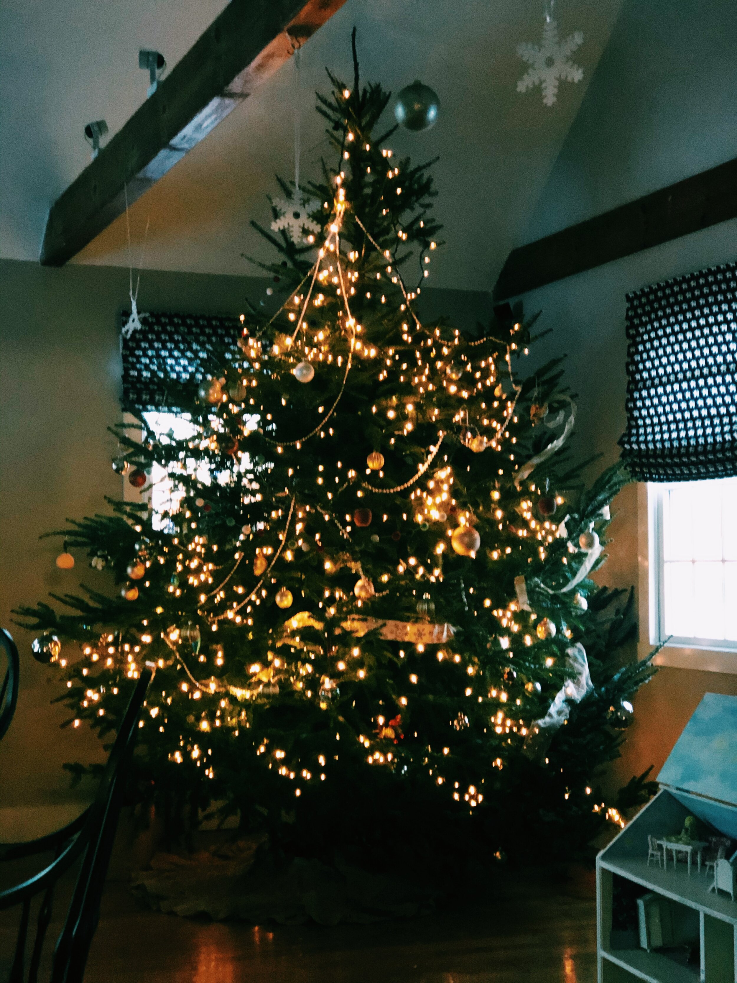 3C72B7A0-27CE-4365-A2D2-1639DD810739 2.JPG