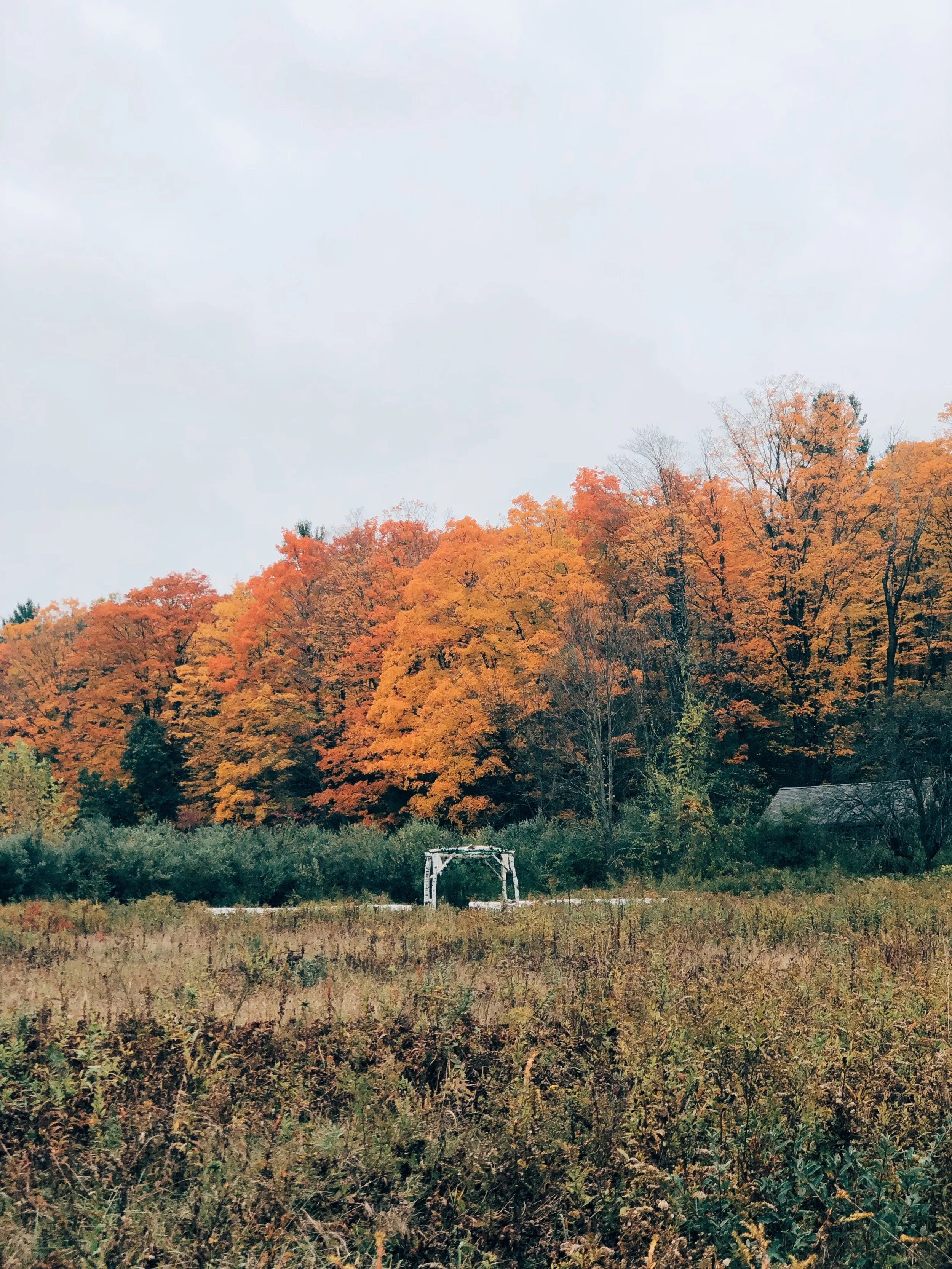 5C668EE1-15D3-4844-B971-55C33C83BFA2 2.JPG