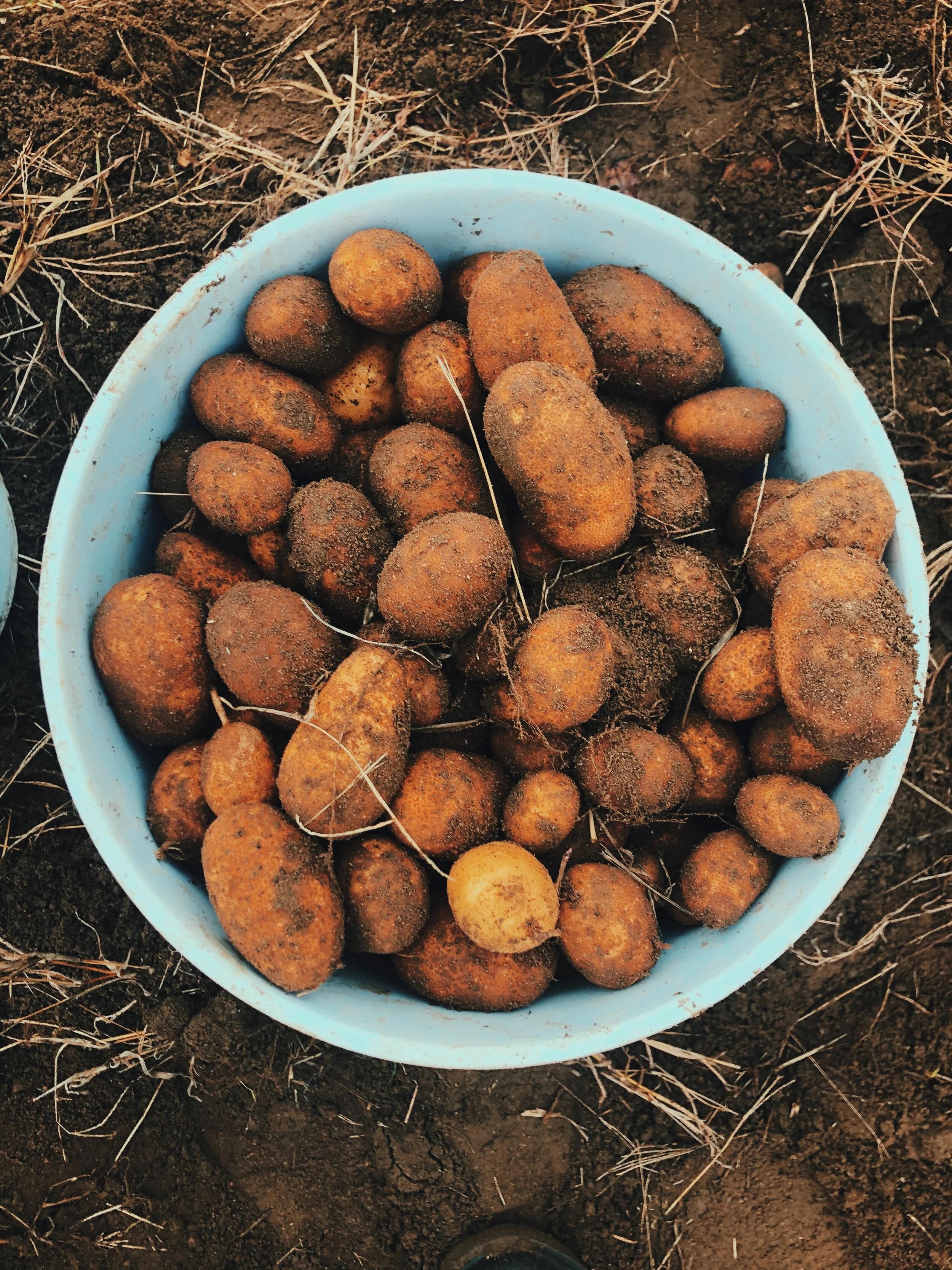 5F8CFF2B-5E3C-4C3C-95A0-E30FF4303081 2.JPG