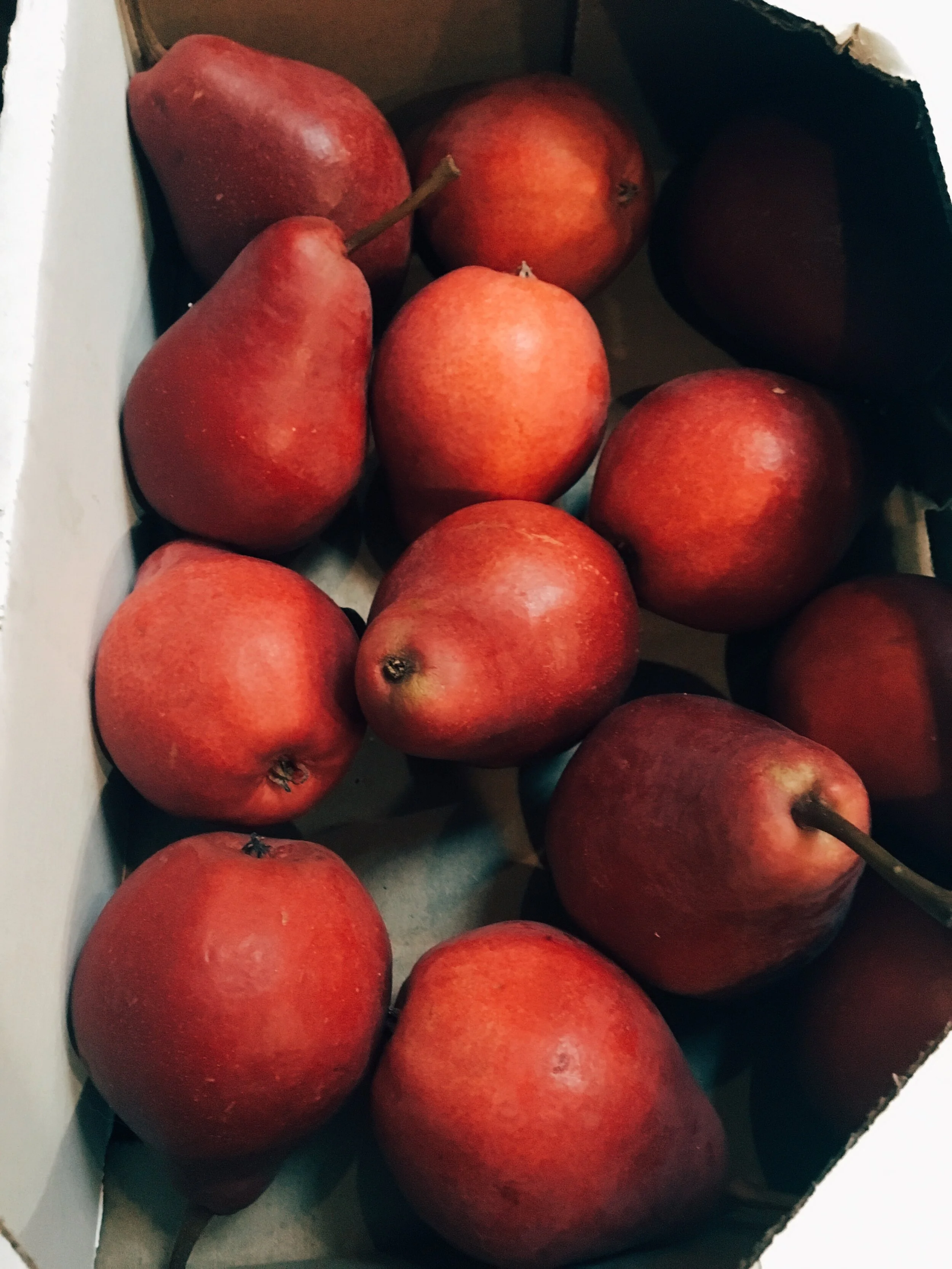 8FCFF02A-0C50-4A3C-B5E2-0001BF6CF8BC 2.JPG