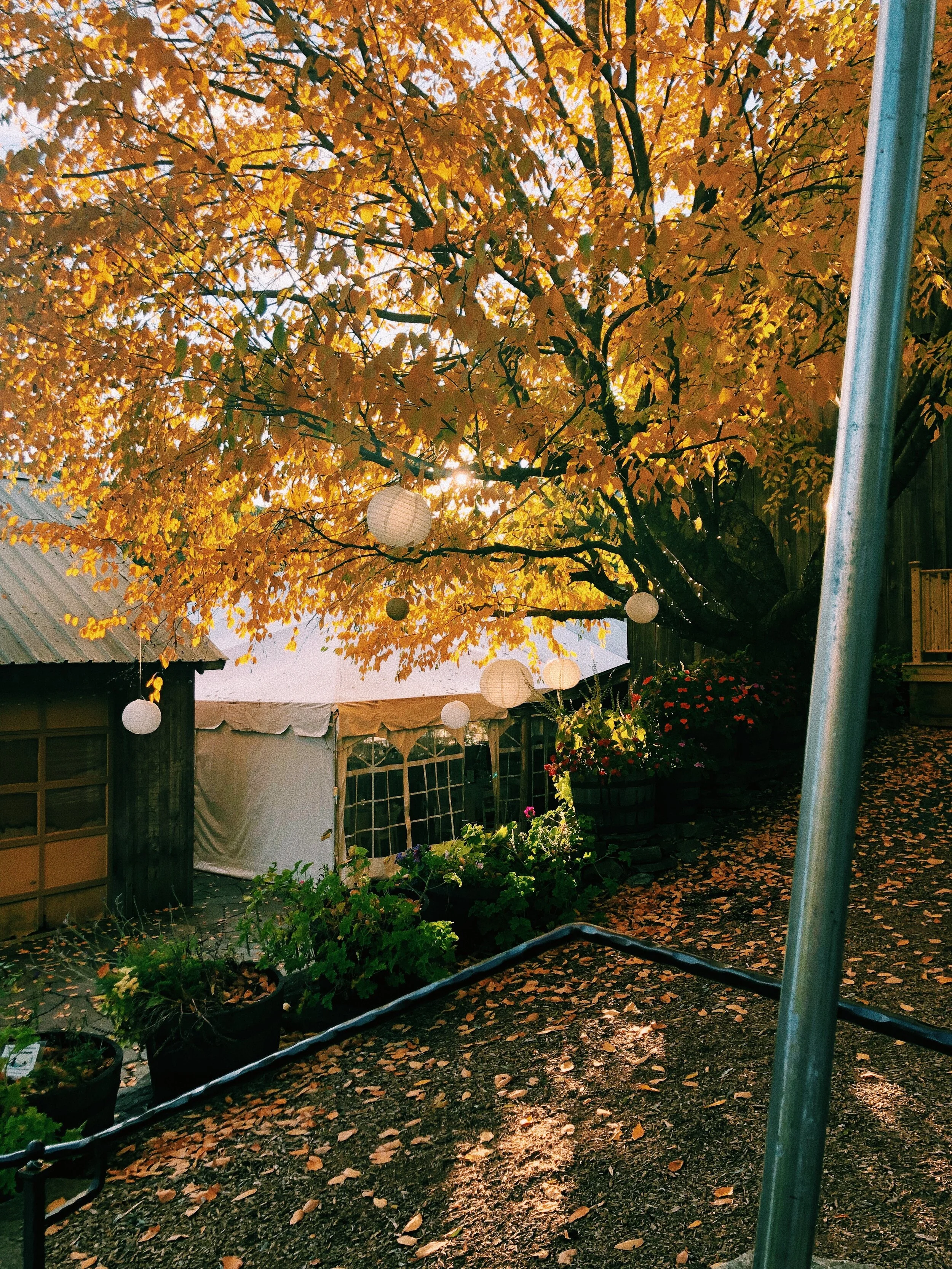 9F1B699F-EB56-4321-ACED-A88E784C538E 2.JPG