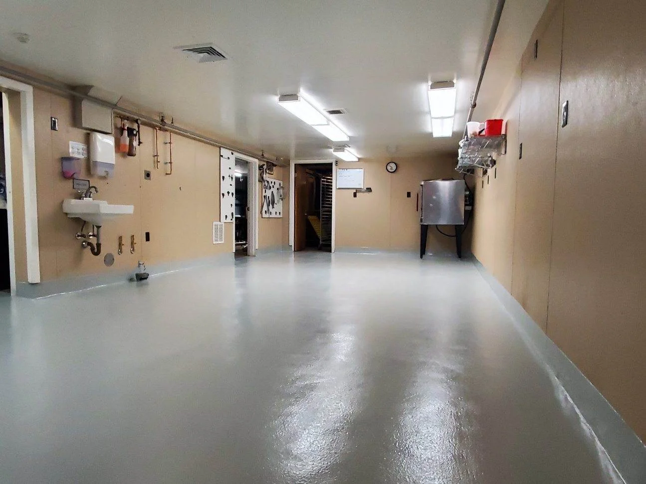 image_6483441 (3).JPG