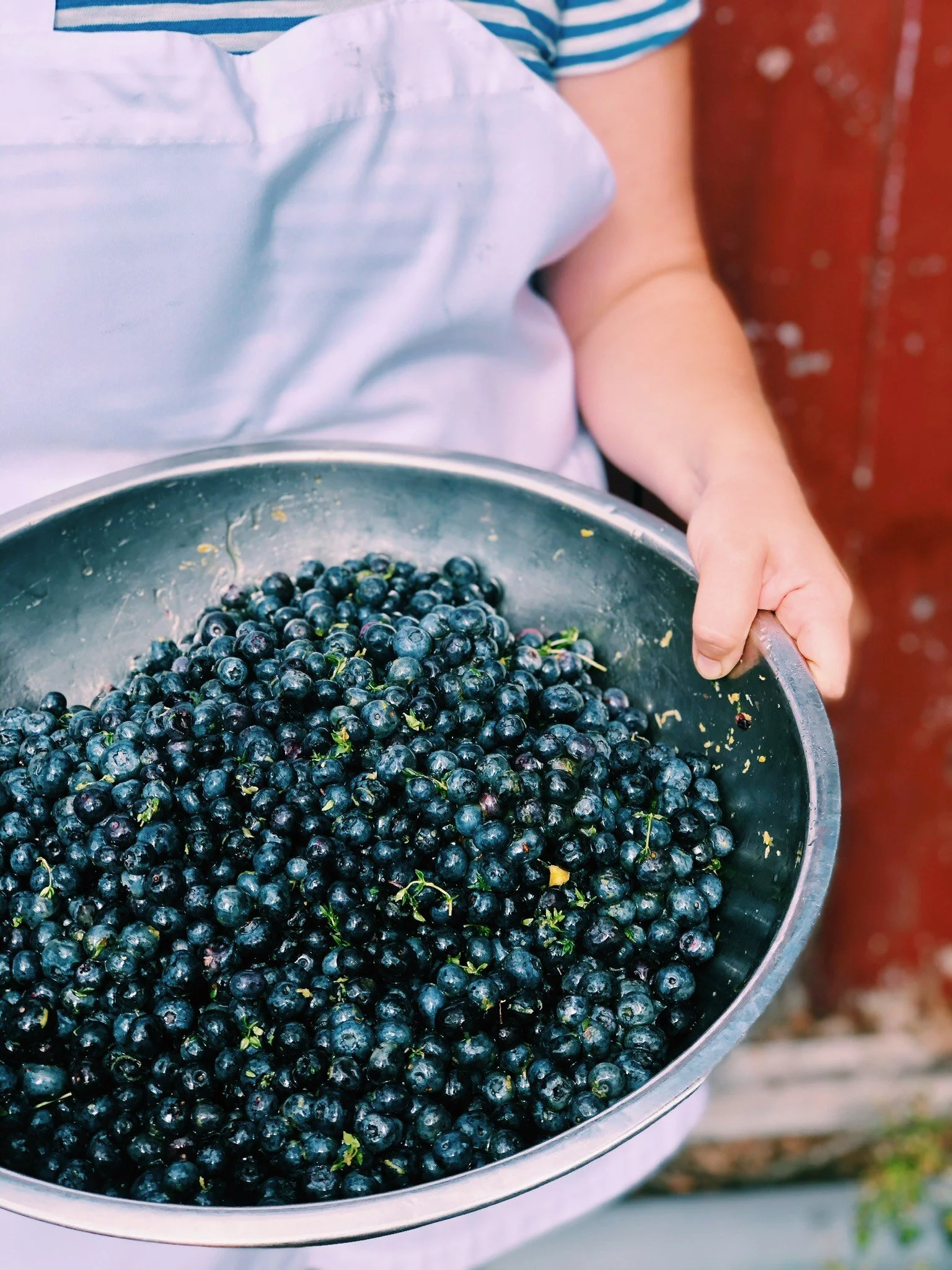 image_6483441 (47).JPG