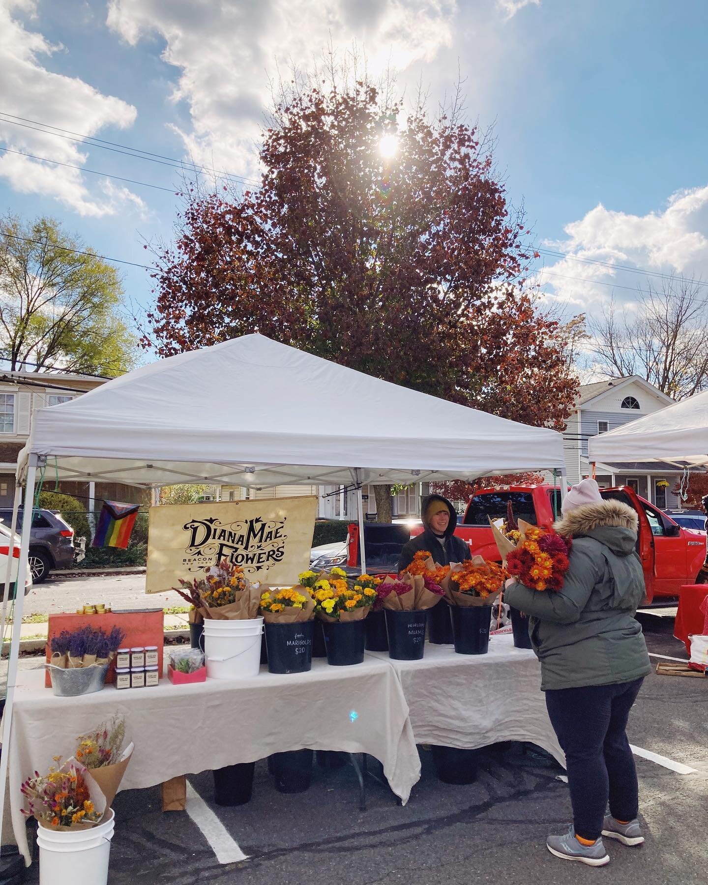 It&rsquo;s your LAST CHANCE to snag fresh flowers this season! 🍁 Hudson Valley grown flowers for your November table Sunday @beaconfarmersmarket 10&mdash;3pm!

PLUS 
💐 Everlasting dried bouquets 
🍵 Herbal read grown, harvested, and dried fresh fro