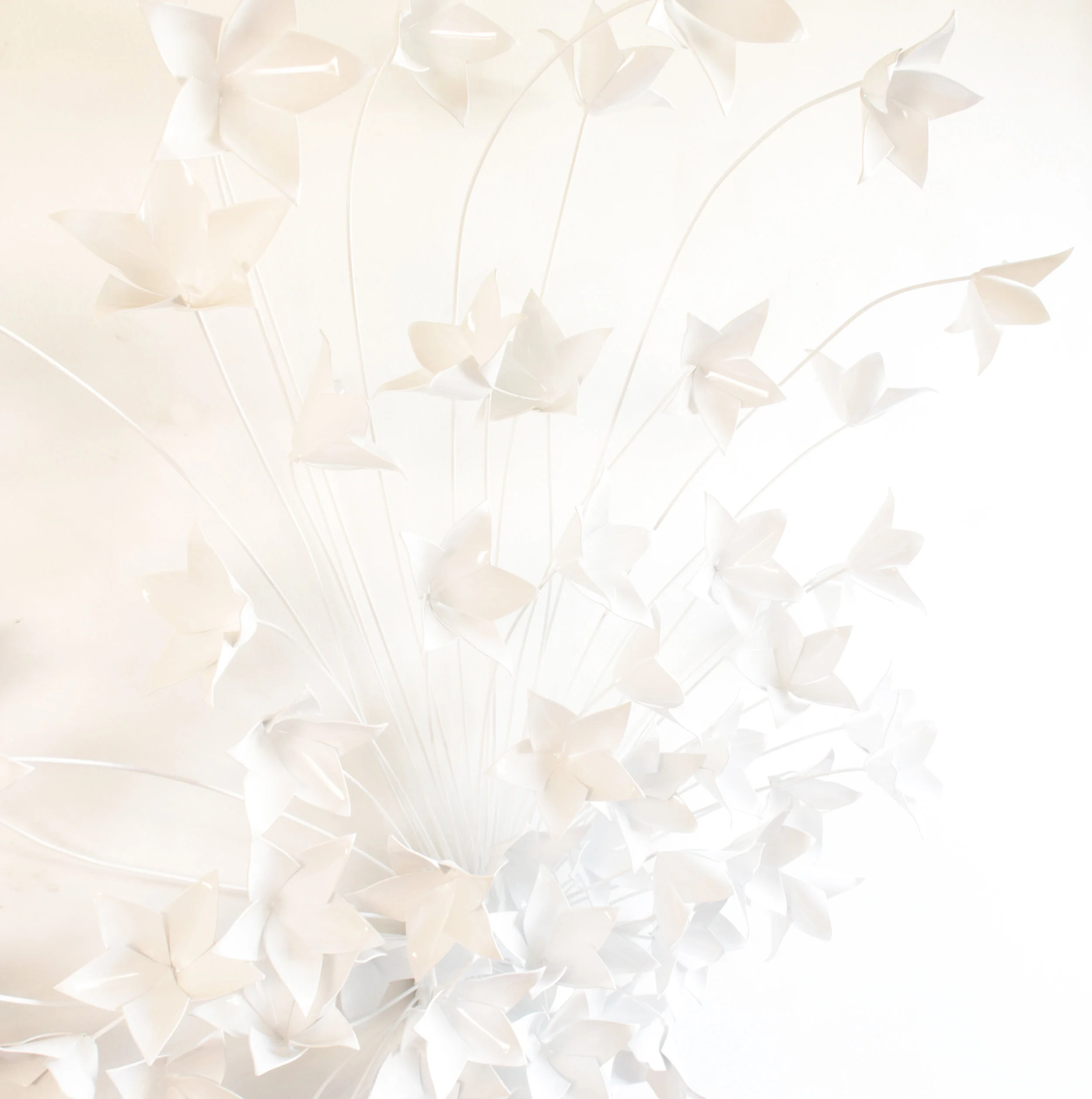InFullSpringPortion_4122.jpg