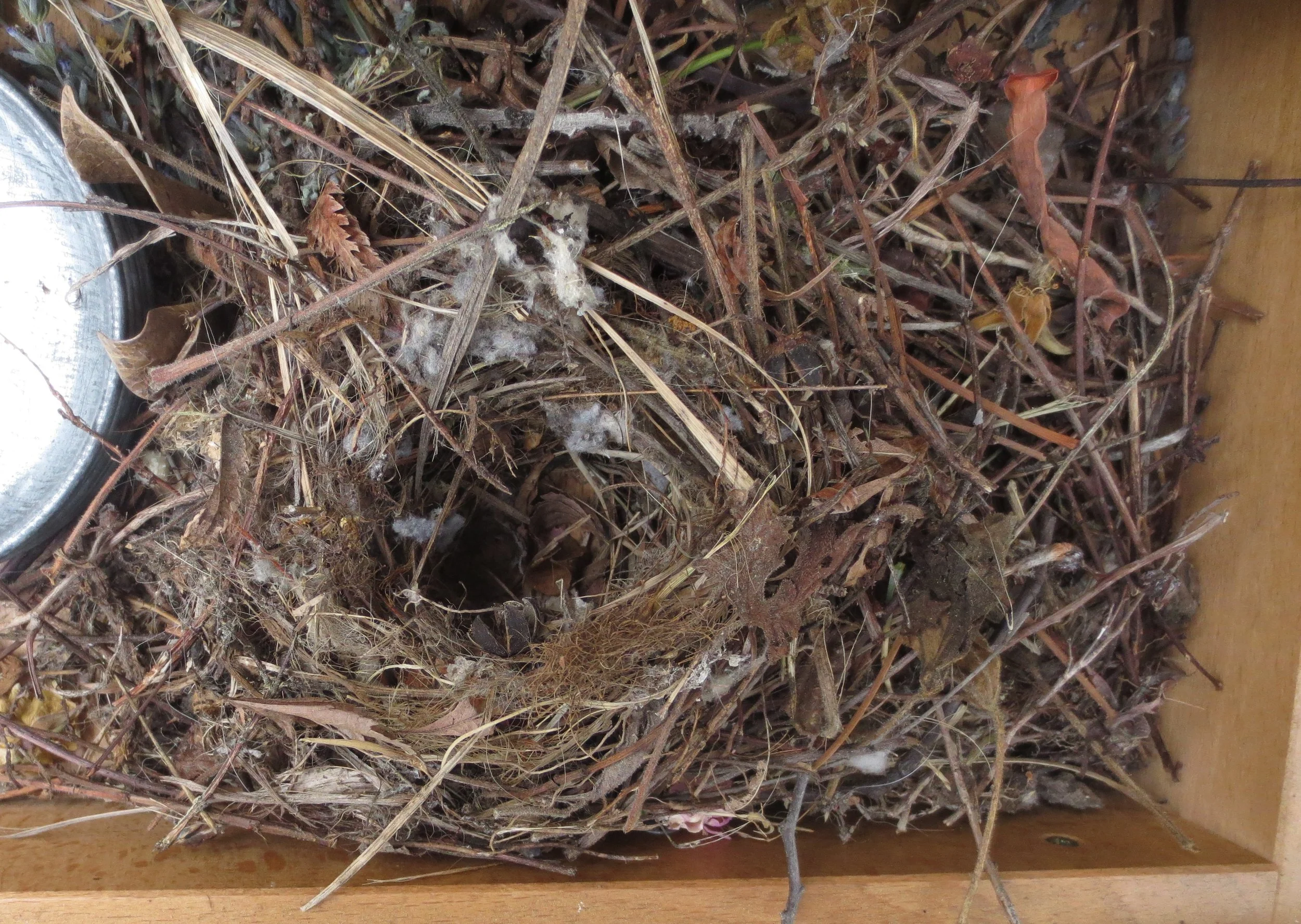 Making a home in my potting bench