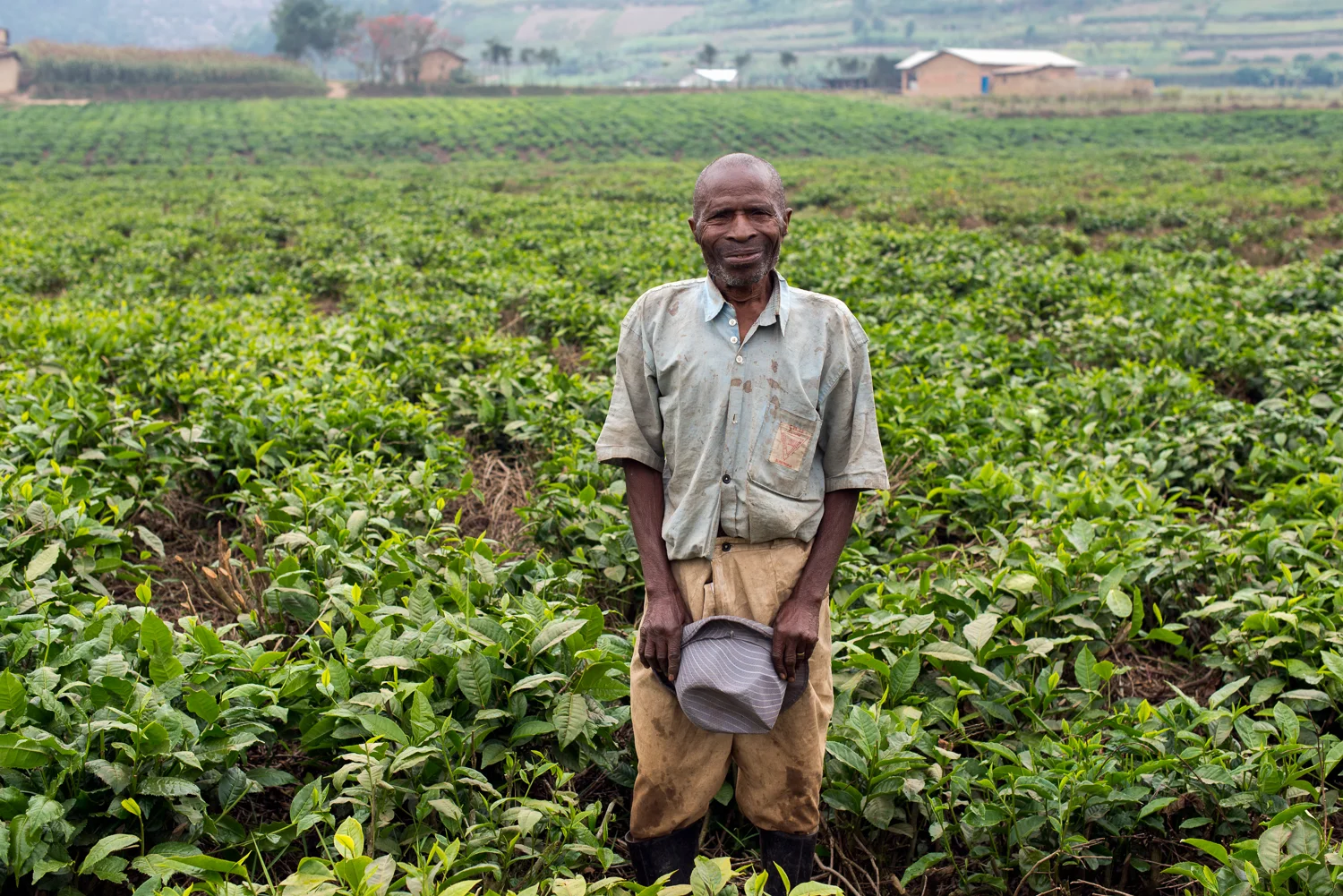 Tea farmer, Kiruli 