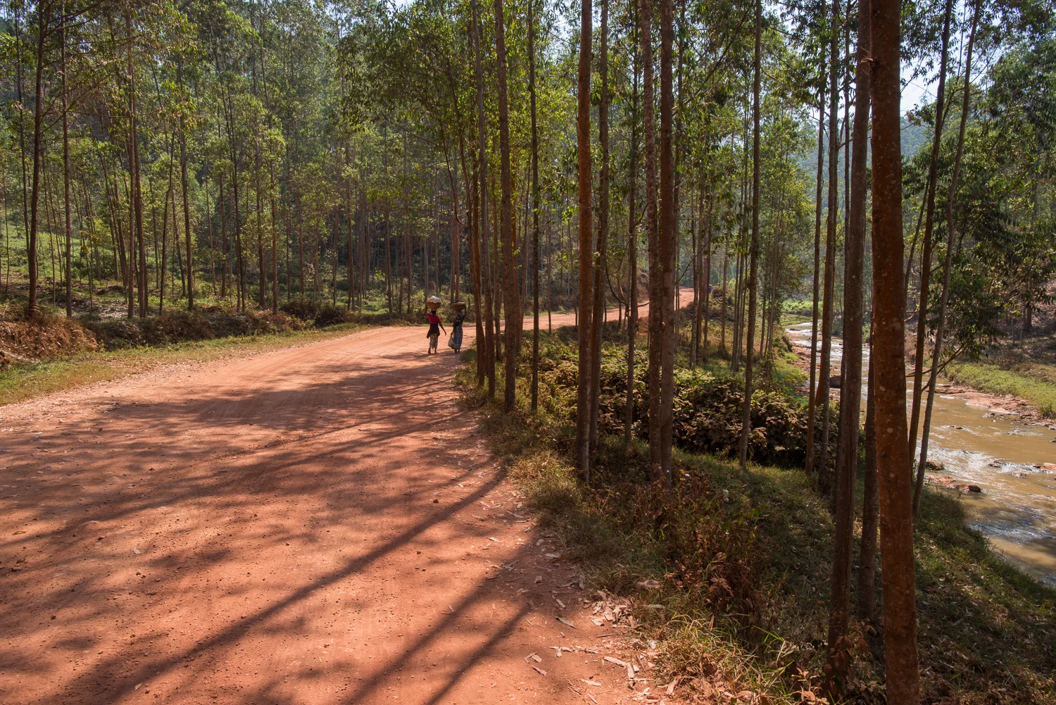  The road to Kiruli 
