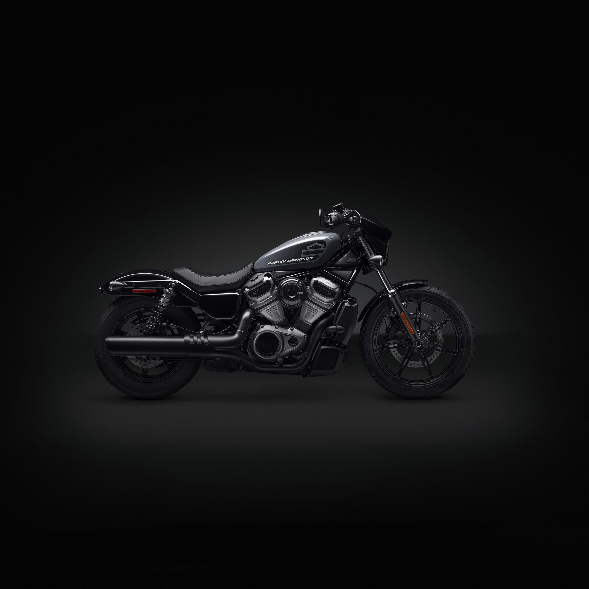 my22_rh975_nightster_10x10.jpg