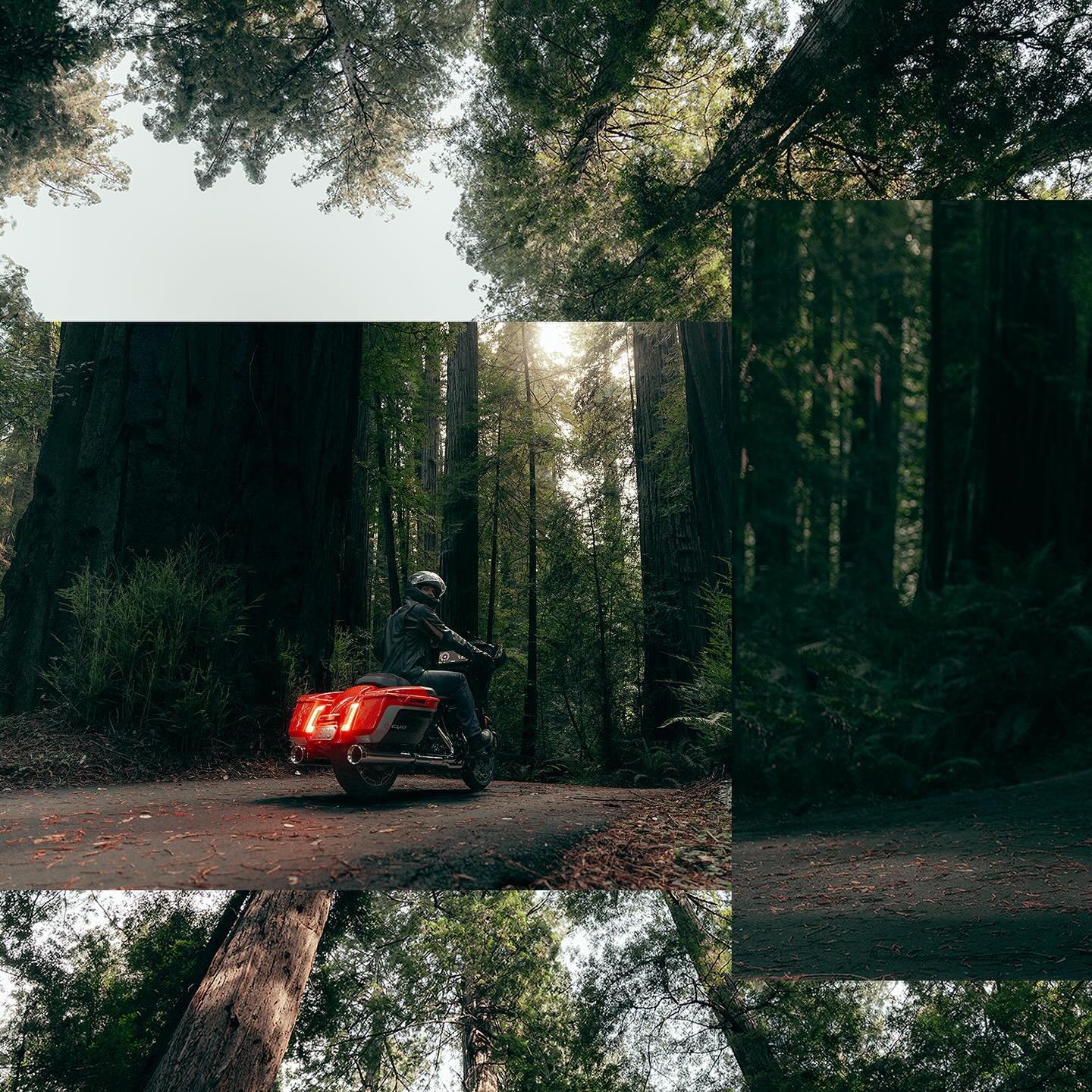 2024 CVO Street Glide @harleydavidson 
.
.
.
.
#cvostreetglide #2024 #harleydavidson #redwoods #motorcyclesofinstagram #harleydavidson #harleydavidsonmotorcycles #redwoods #california #canon #canonphotography #adobephotoshop #motorcycles #grandameric
