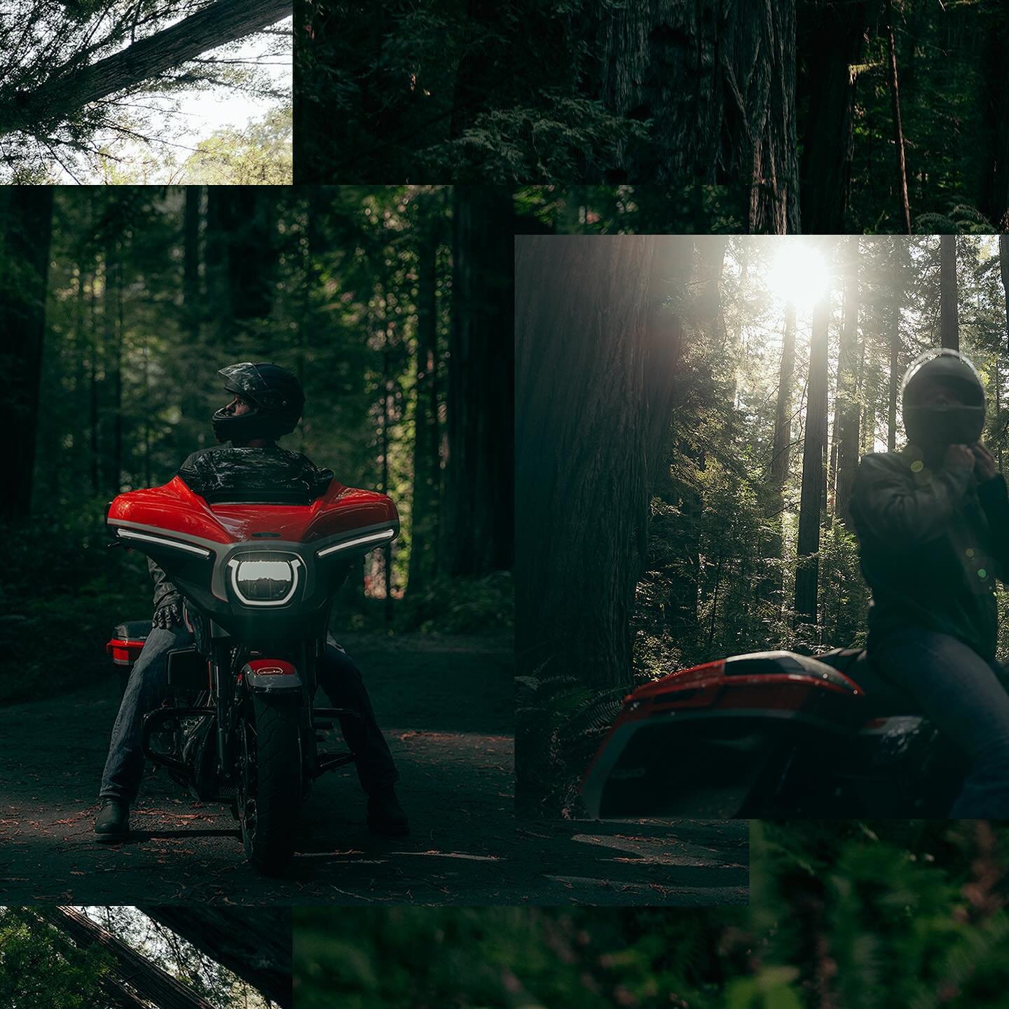 2024 CVO Street Glide @harleydavidson 
.
.
.
.
#cvostreetglide #2024 #harleydavidson #redwoods #motorcyclesofinstagram #harleydavidson #harleydavidsonmotorcycles #redwoods #california #canon #canonphotography #adobephotoshop #motorcycles #grandameric