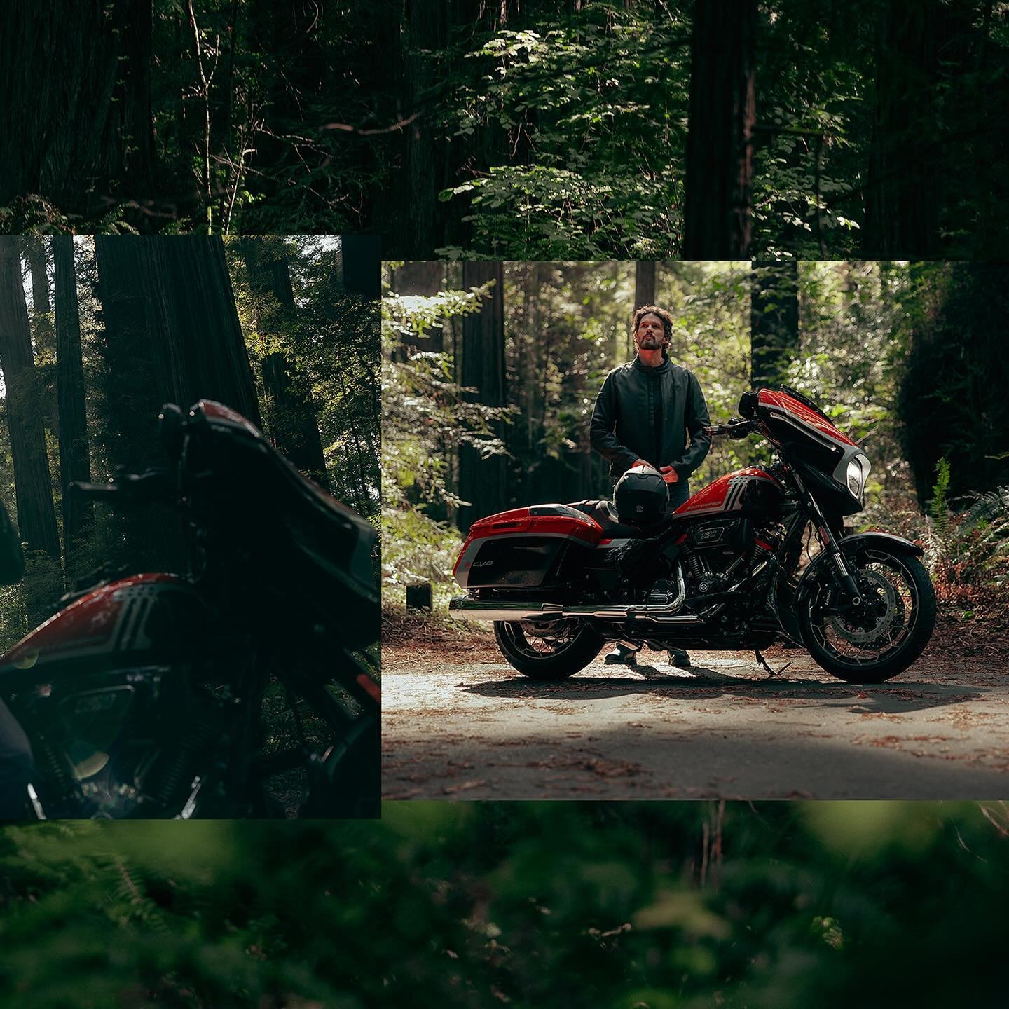 2024 CVO Street Glide @harleydavidson 
.
.
.
.
#cvostreetglide #2024 #harleydavidson #redwoods #motorcyclesofinstagram #harleydavidson #harleydavidsonmotorcycles #redwoods #california #canon #canonphotography #adobephotoshop #motorcycles #grandameric