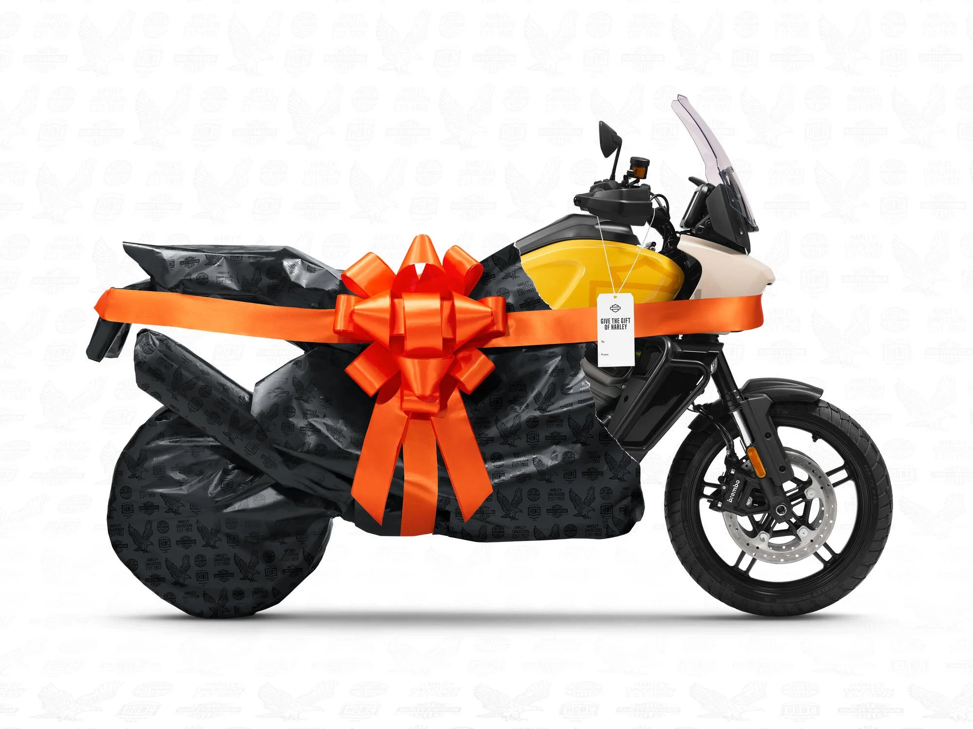 gift guide_option 4.jpg