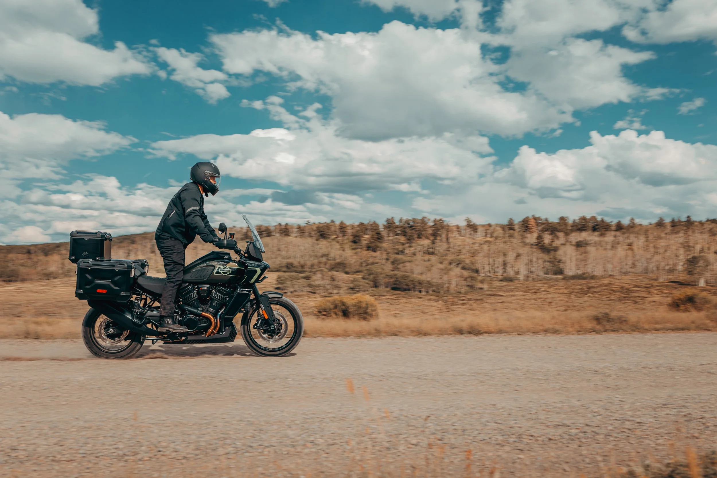 26-rh1250l-panning-0039-bwjc copy.jpg