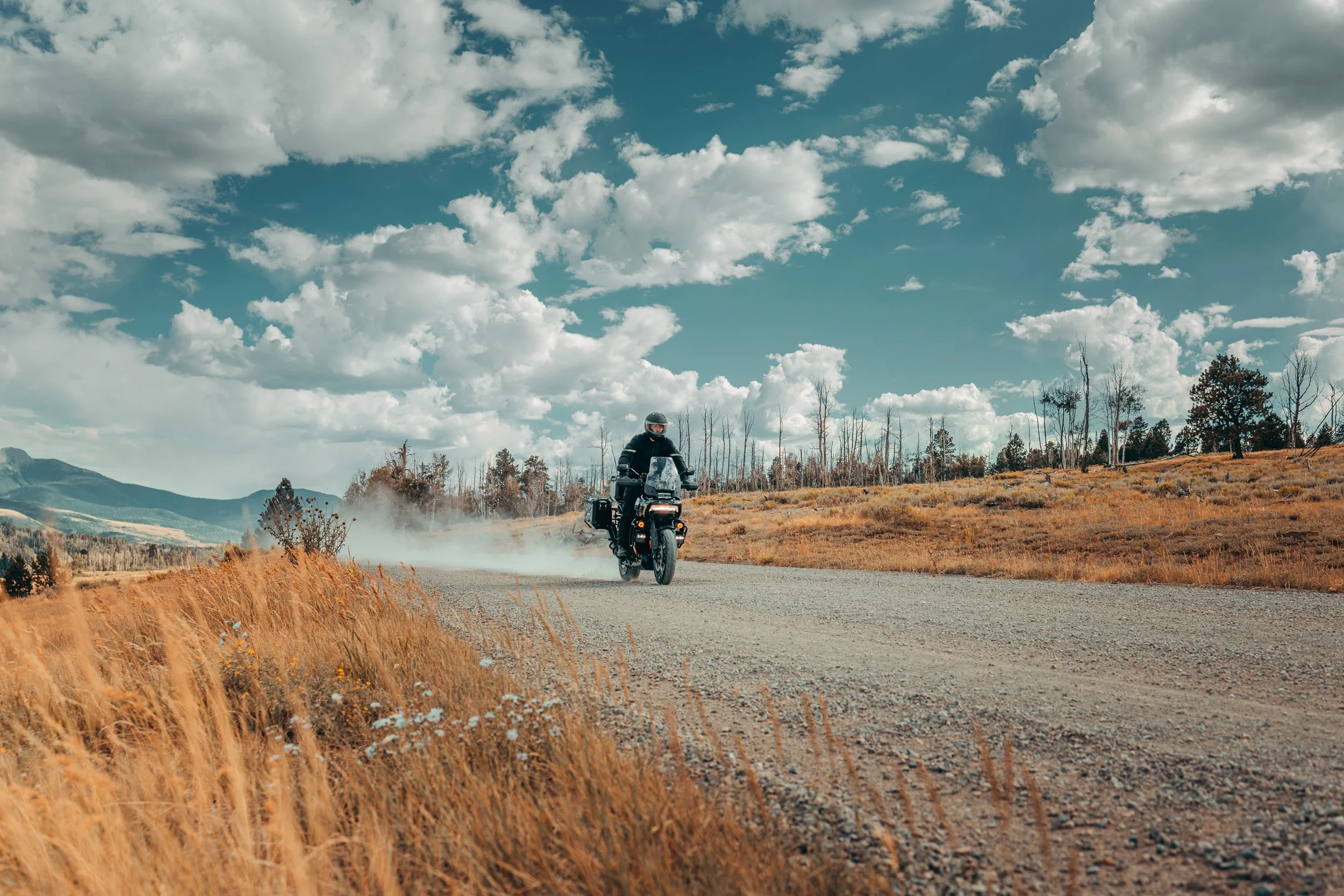 26-rh1250l-panning-0061-bwjc copy.jpg