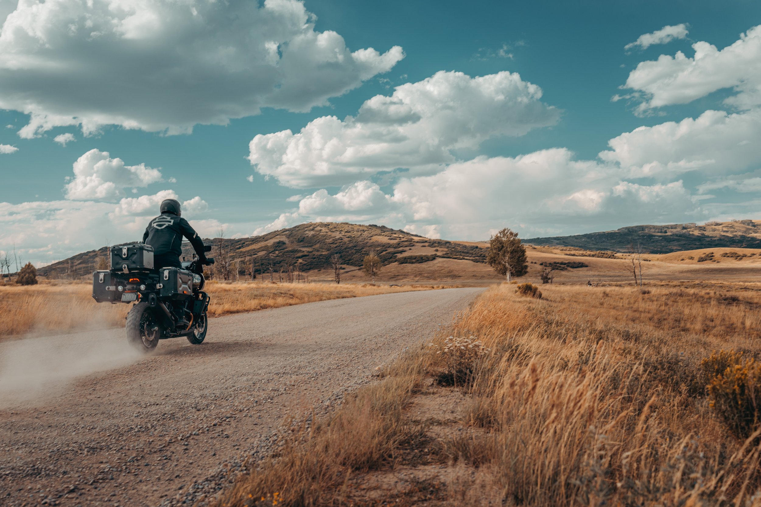 26-rh1250l-panning-0074-bwjc copy.jpg