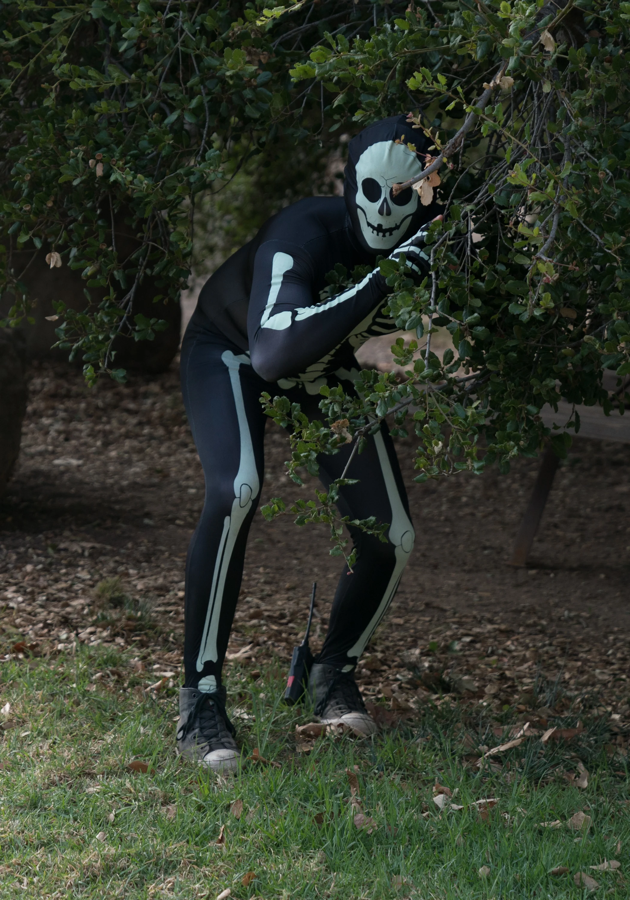 dt_0272.jpg