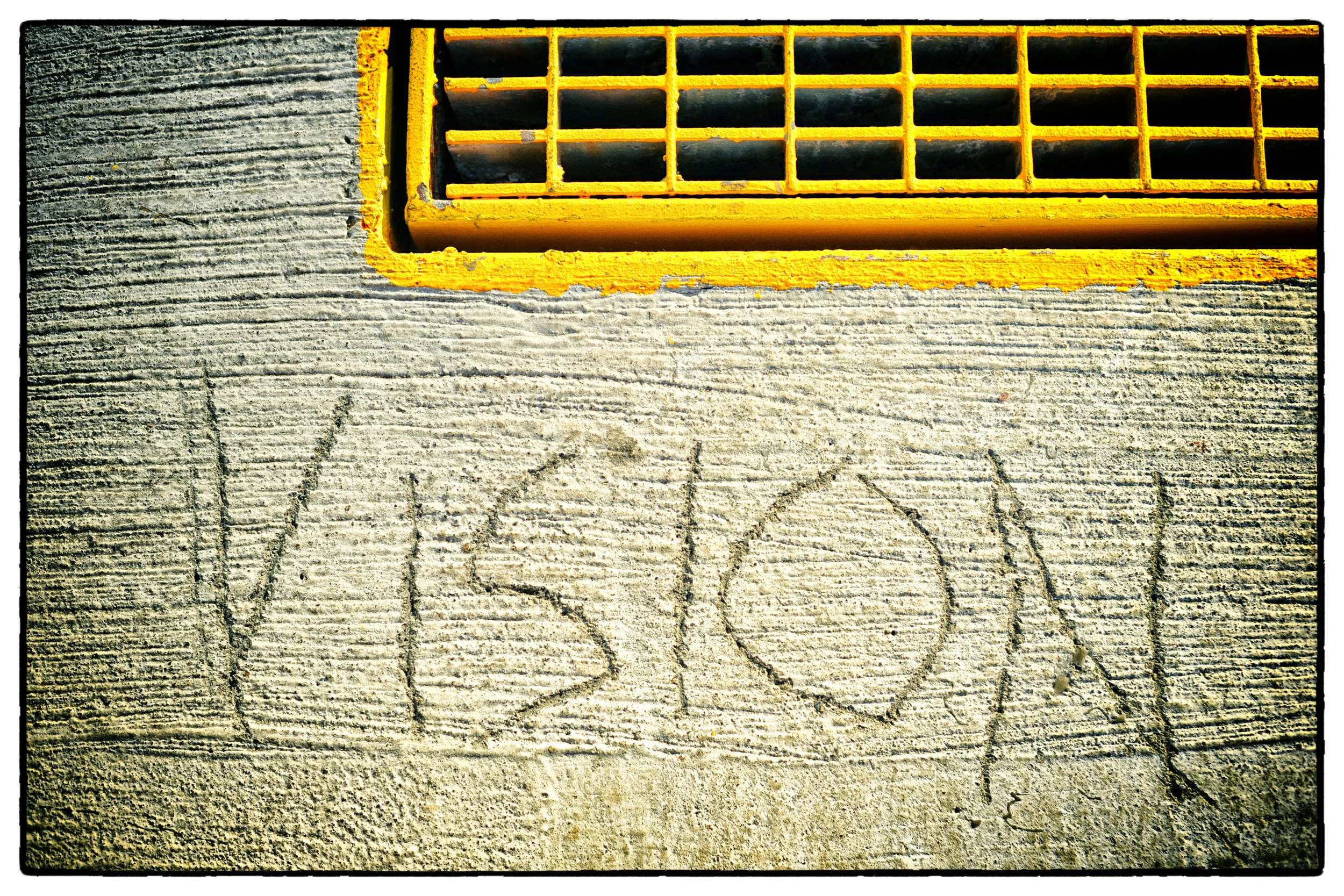Vision