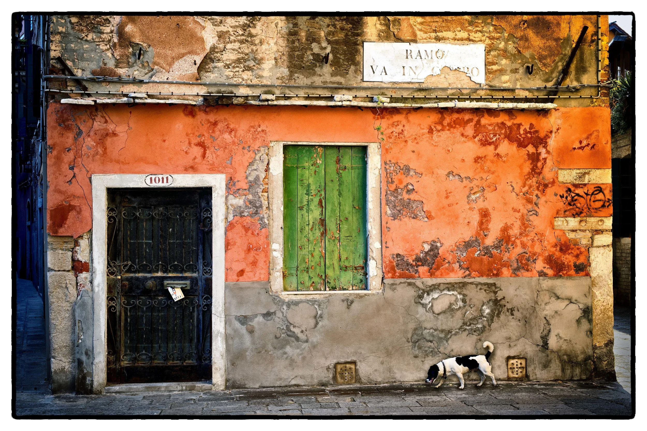Venetian Dog Walk
