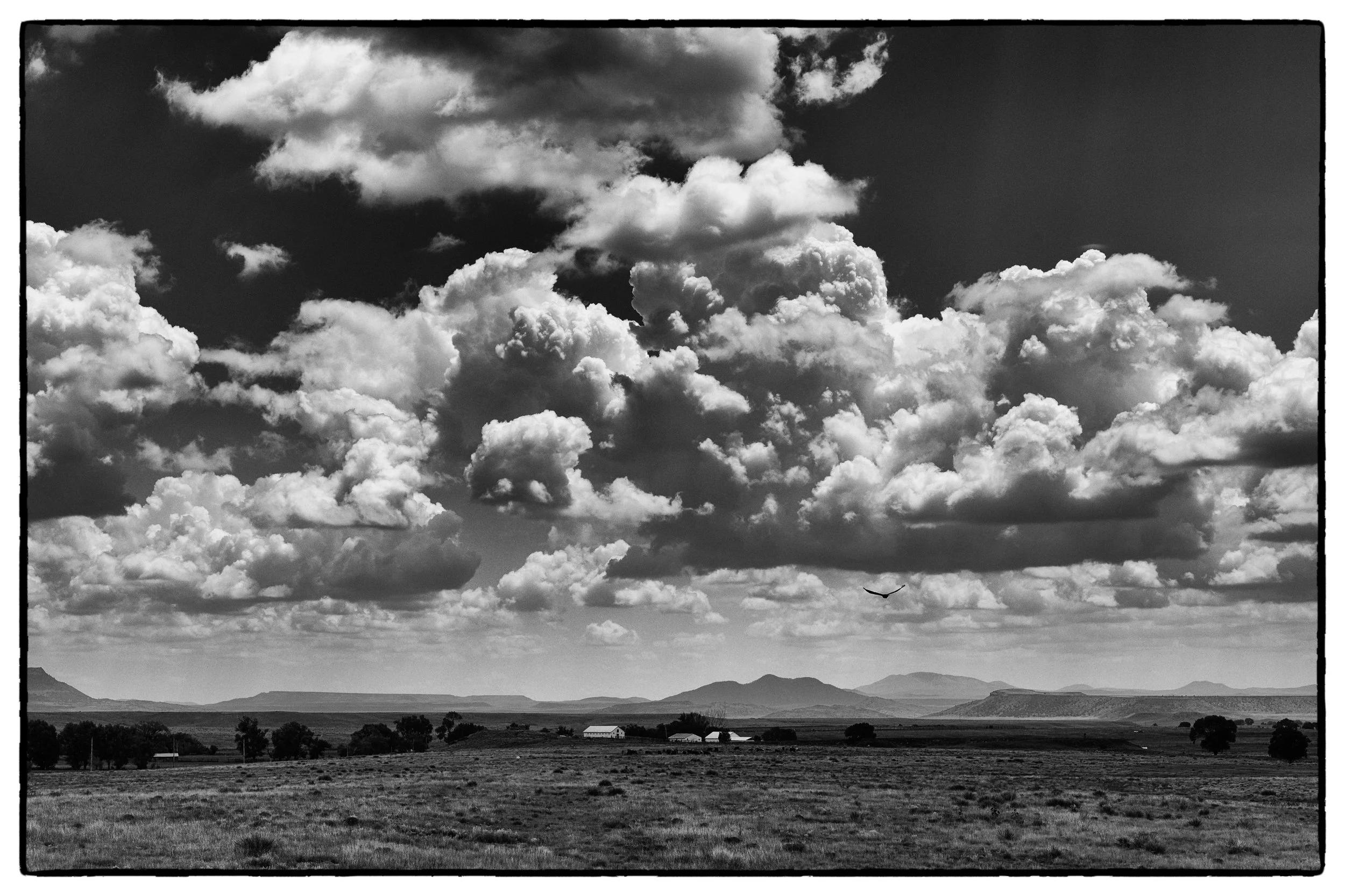 Heading Home - NEW