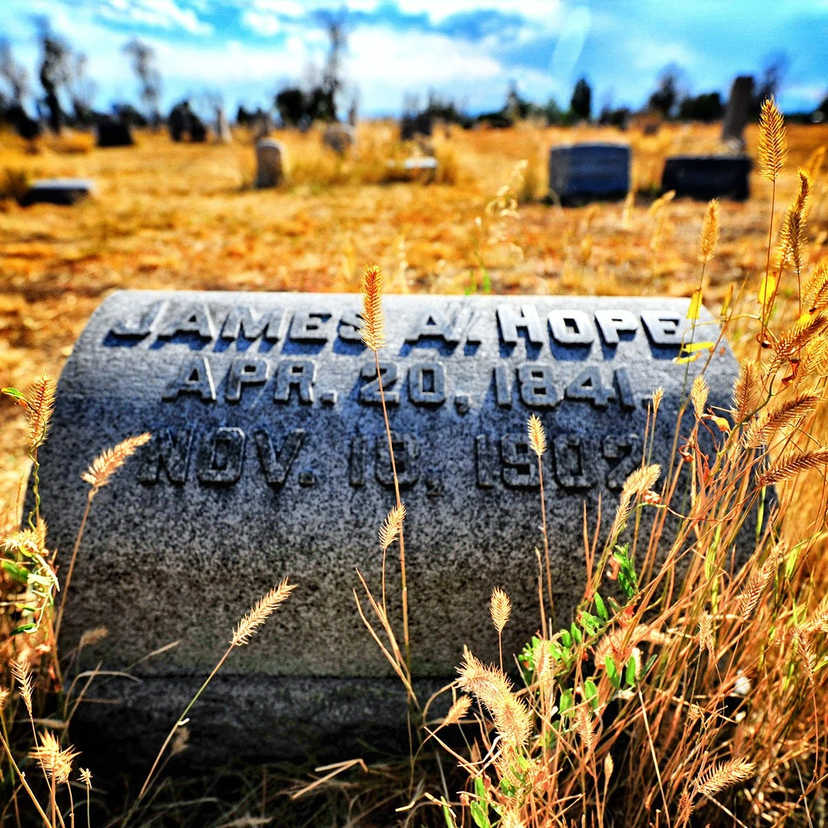 Losing Hope
