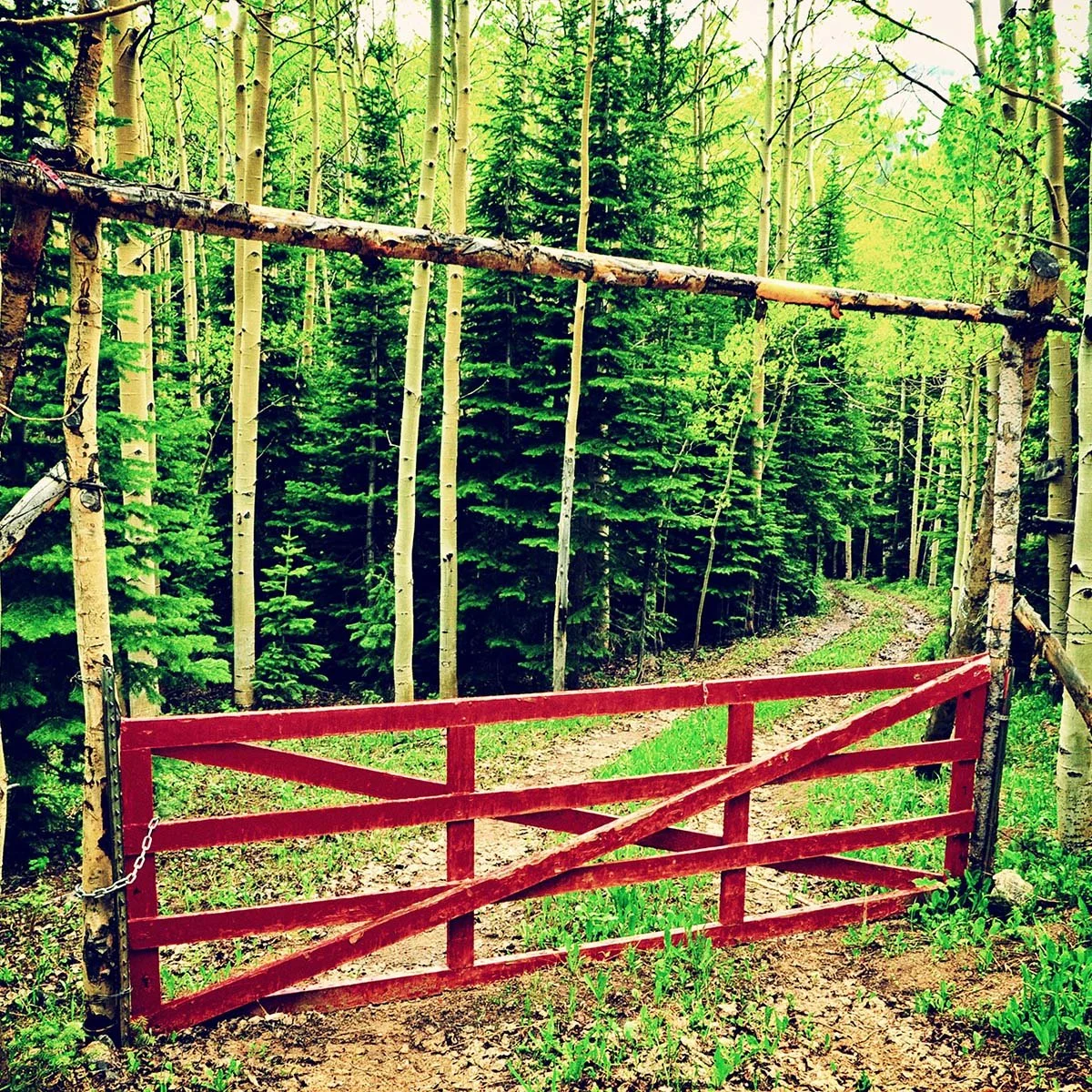 Red Forest Fence