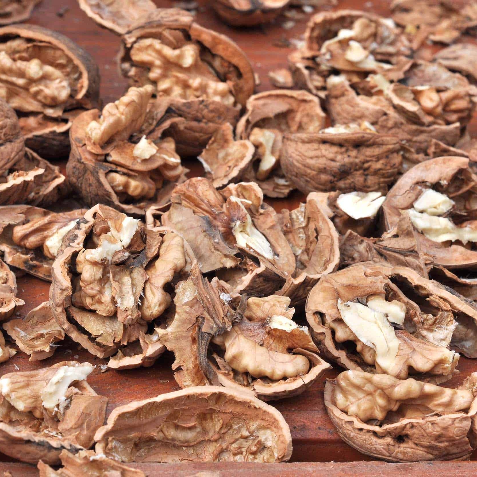 edited-walnut-shells.jpg