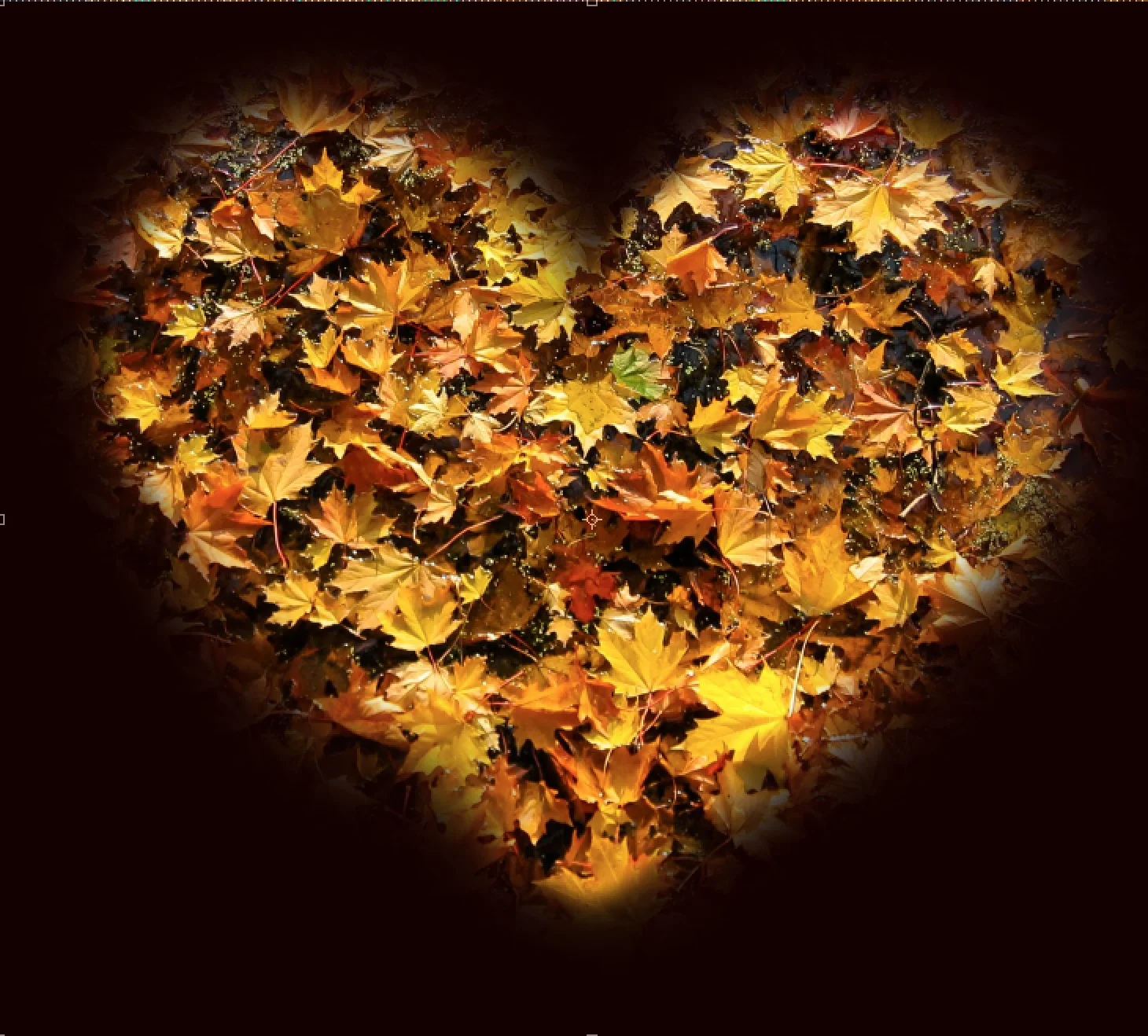 Fall Heart.jpg
