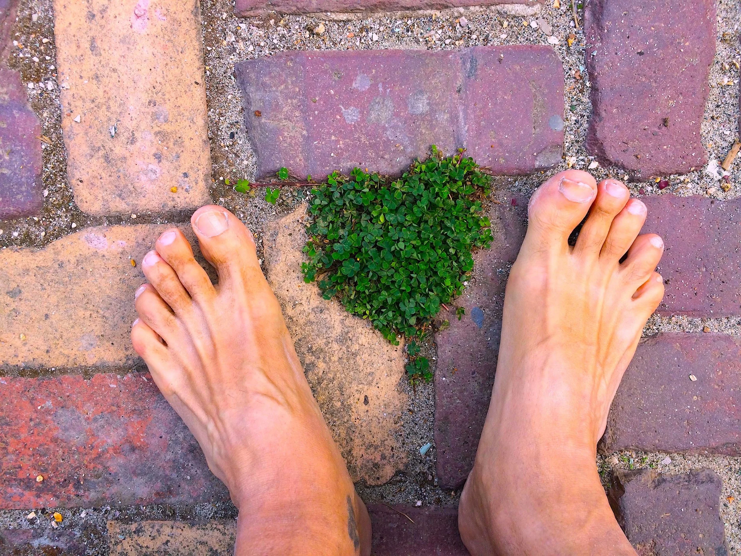 heart feet march 2019 blog.jpg