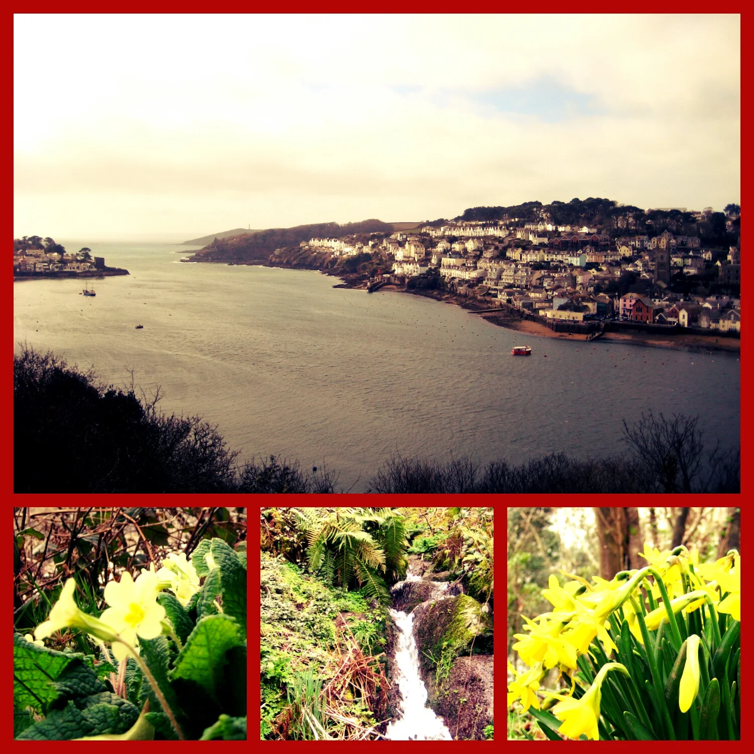 Spring is here in Fowey!