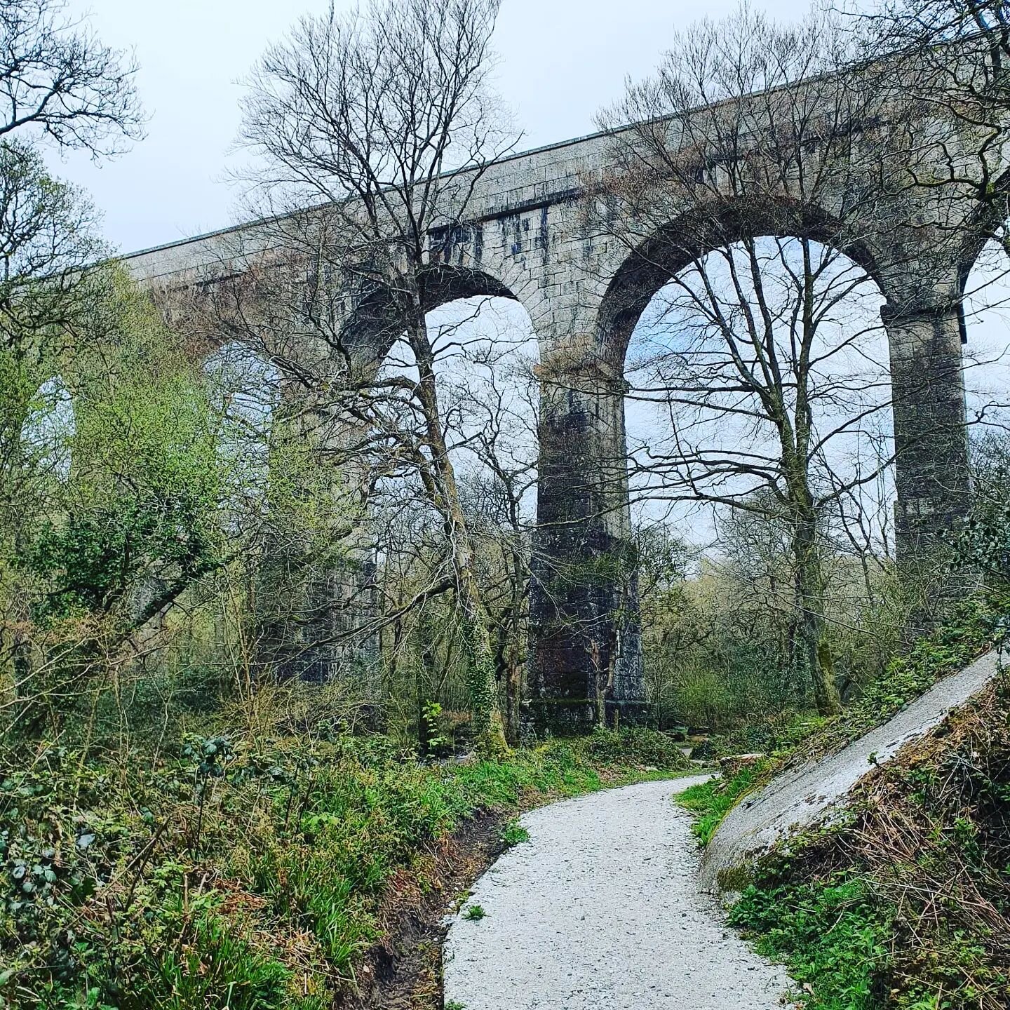 Lovely walk along the Luxulyan valley including the very impressive Treffry viaduct. Followed by a great lunch in the garden @thenewinncornwall