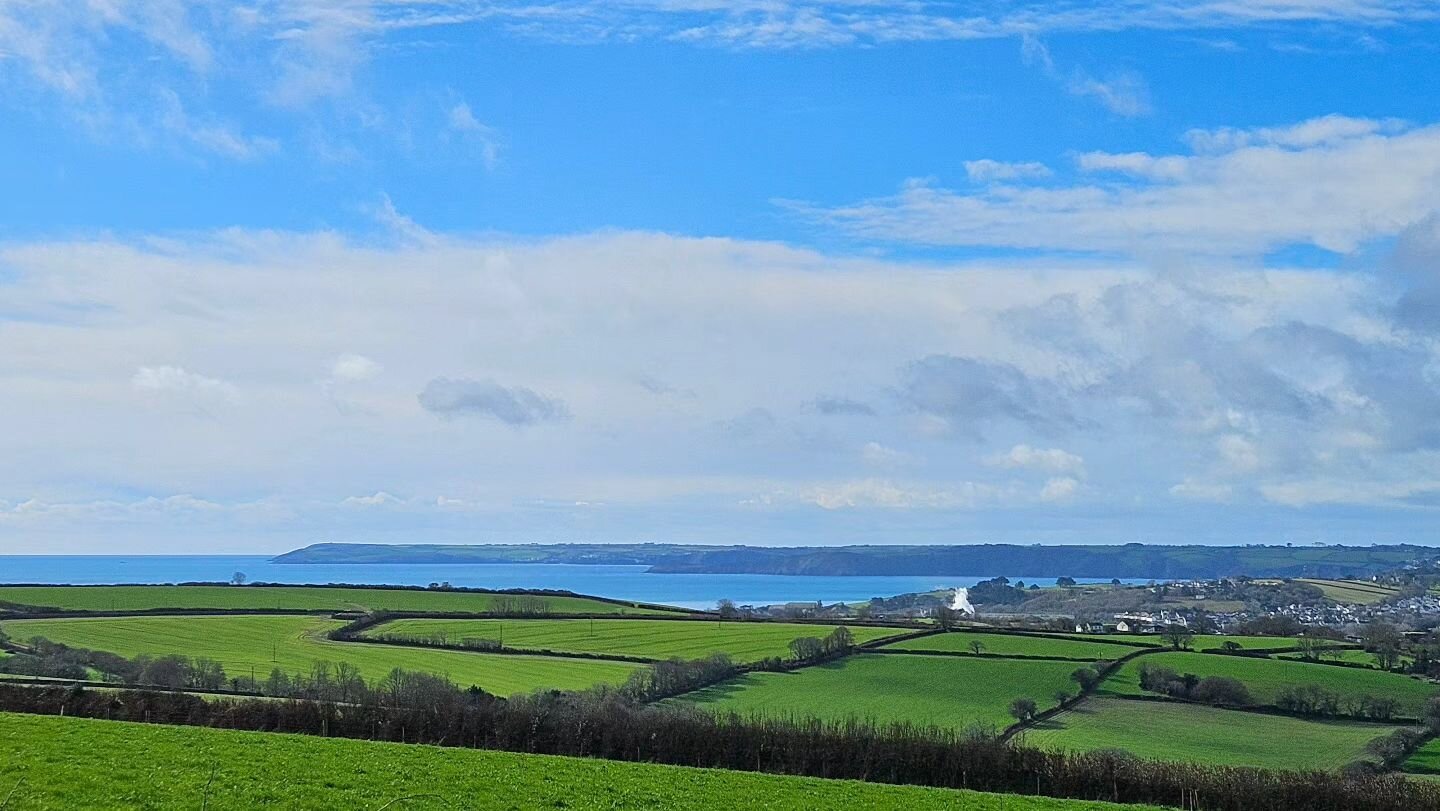 After the rain, looking a bit more spring like in Cornwall