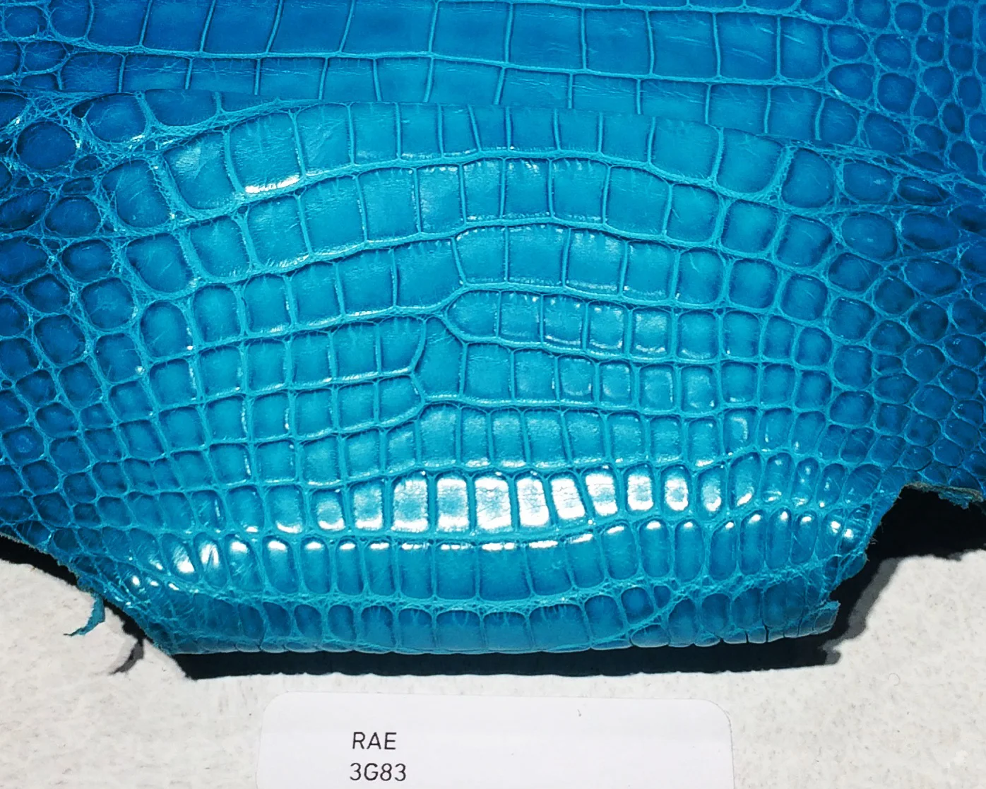 accessories-7.jpg