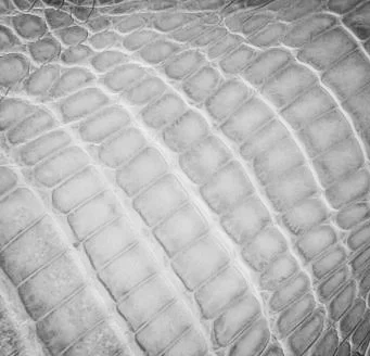 cocco maredo-10.jpg