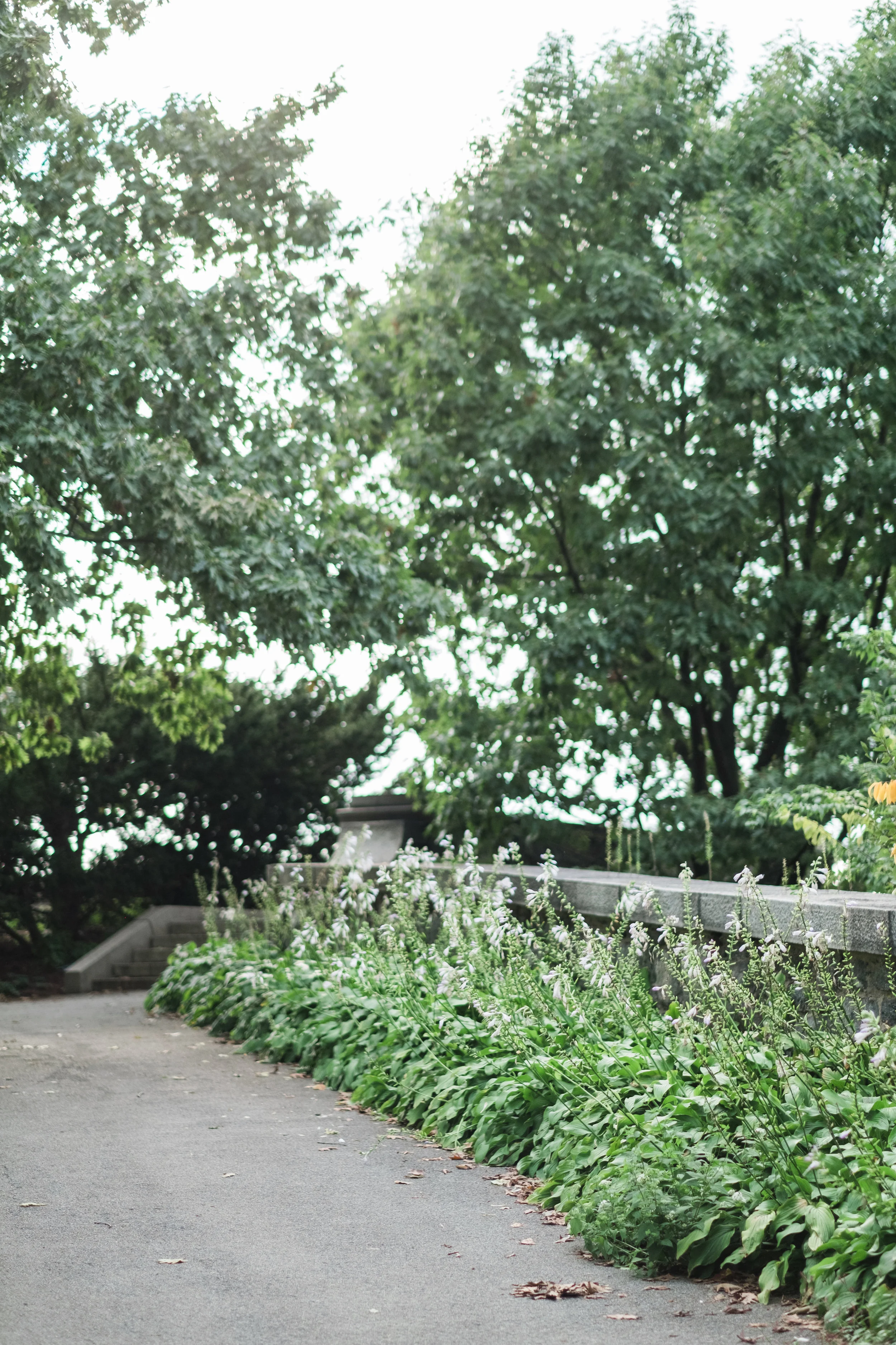 New York Bridals featured on The Pretty Blog